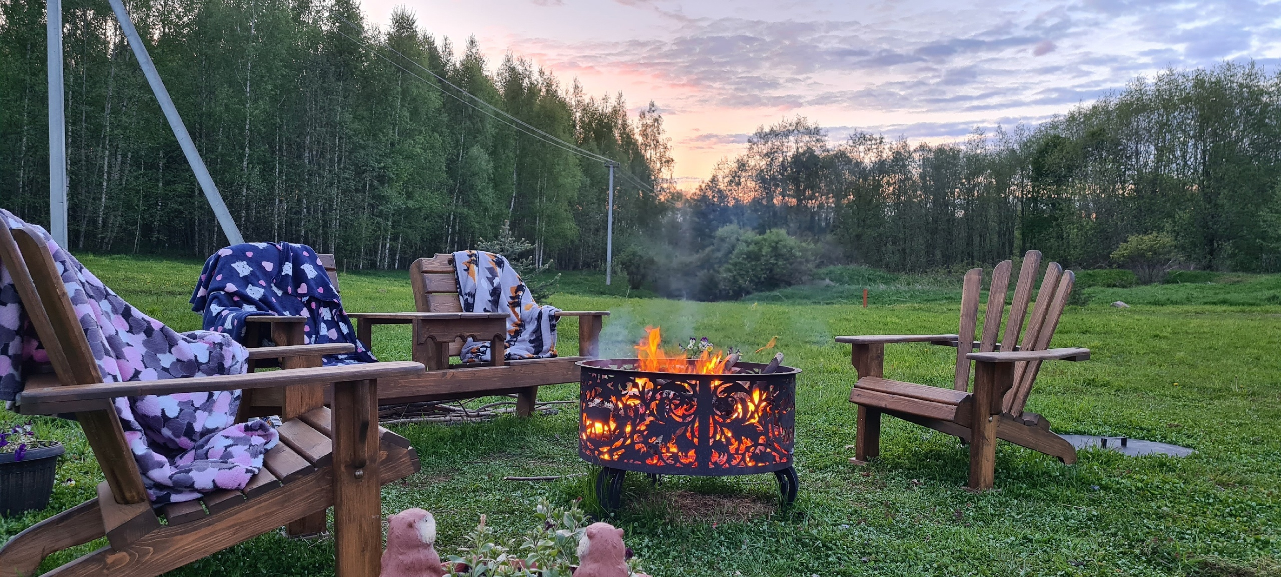 Дом с видом на лес