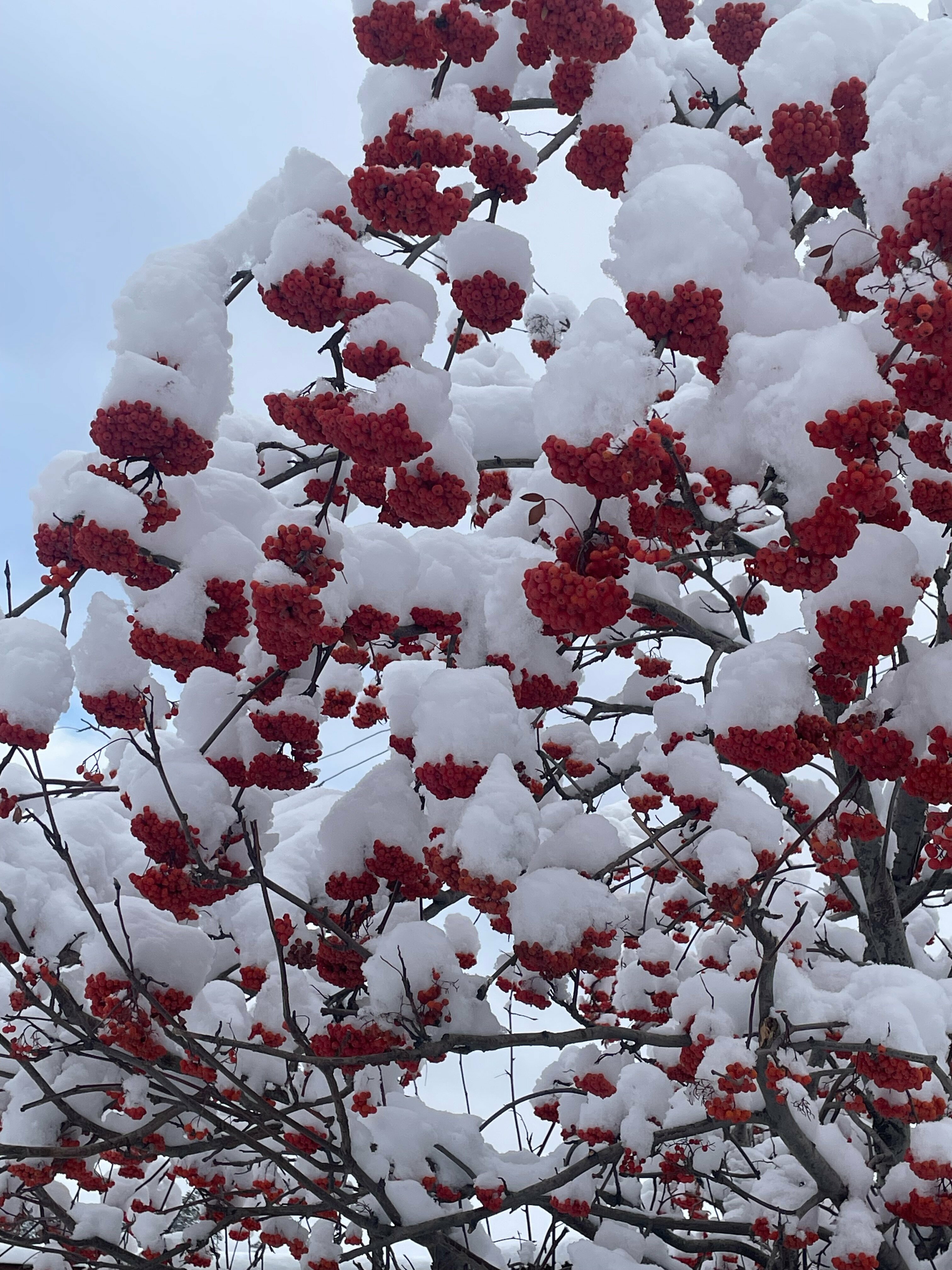Стандартный четырехместный номер