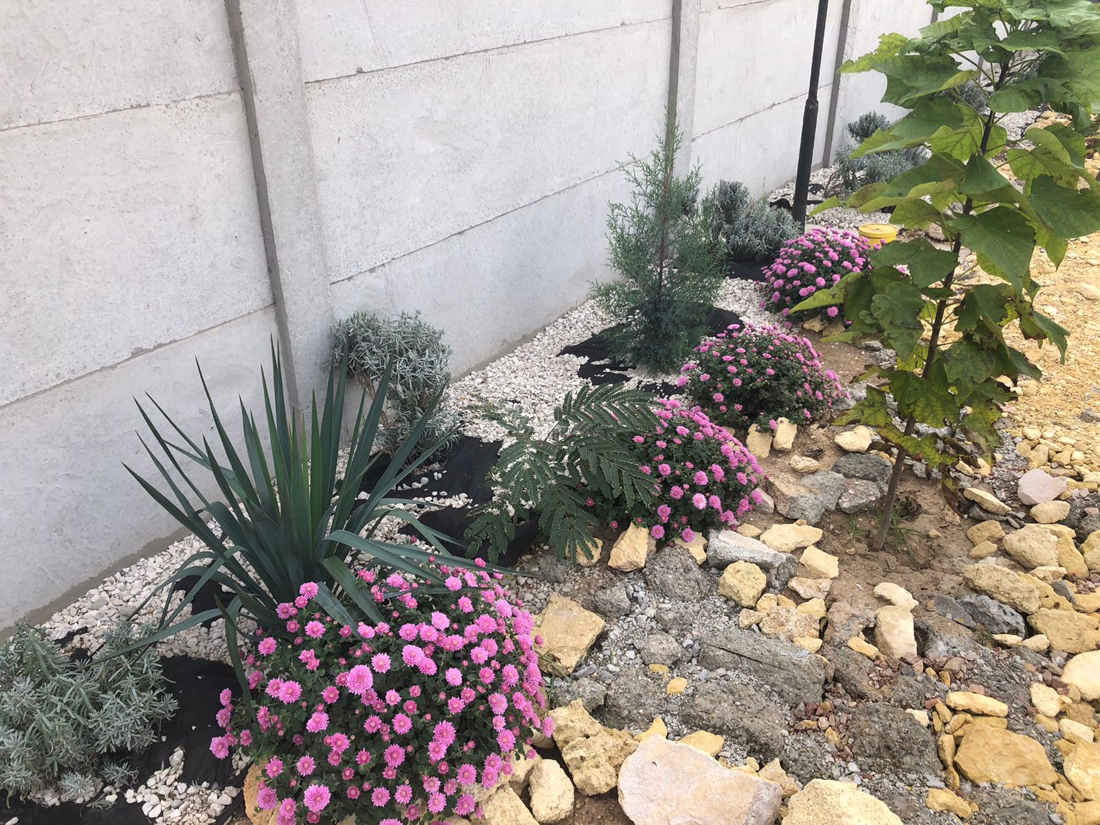 Двухместный номер с 2 отдельными кроватями