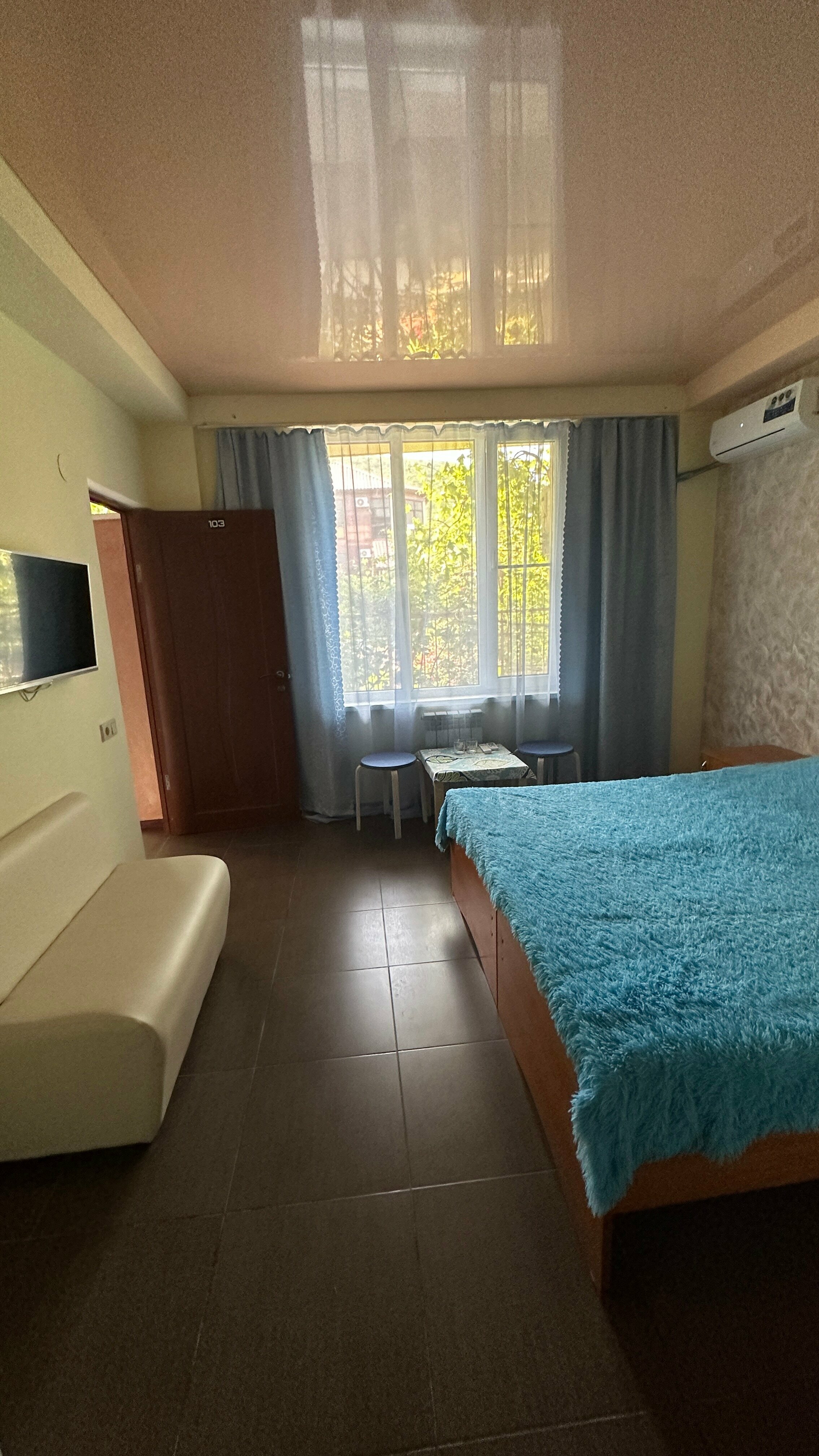 Двухместный номер Делюкс с 1 кроватью