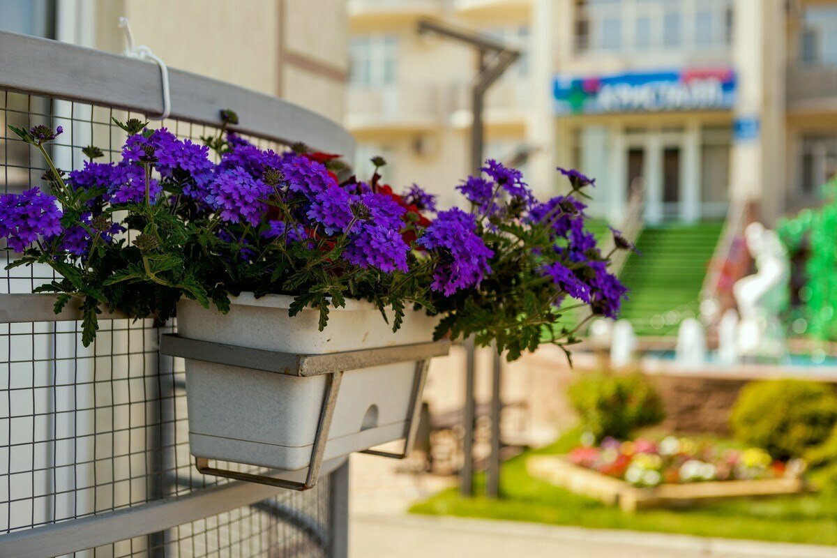 Трехместный номер «Комфорт»