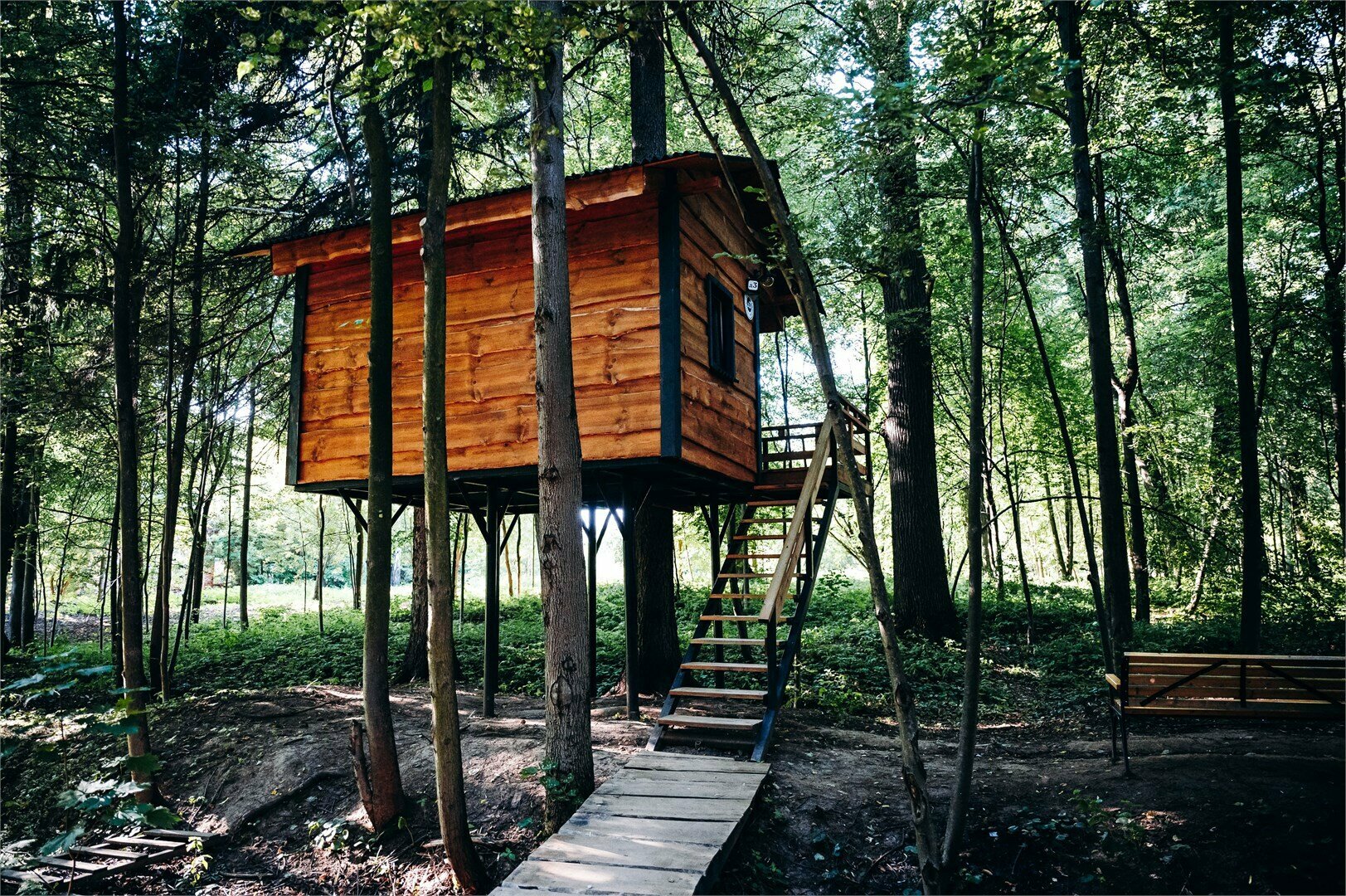 Дом Карлсона на дереве