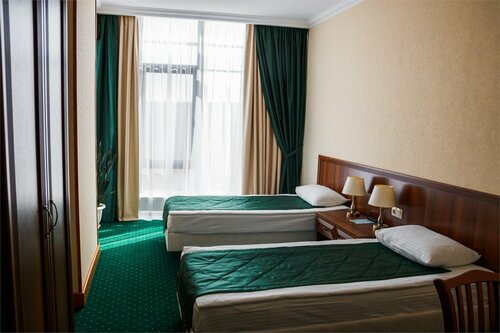 Двухместный стандарт Twin