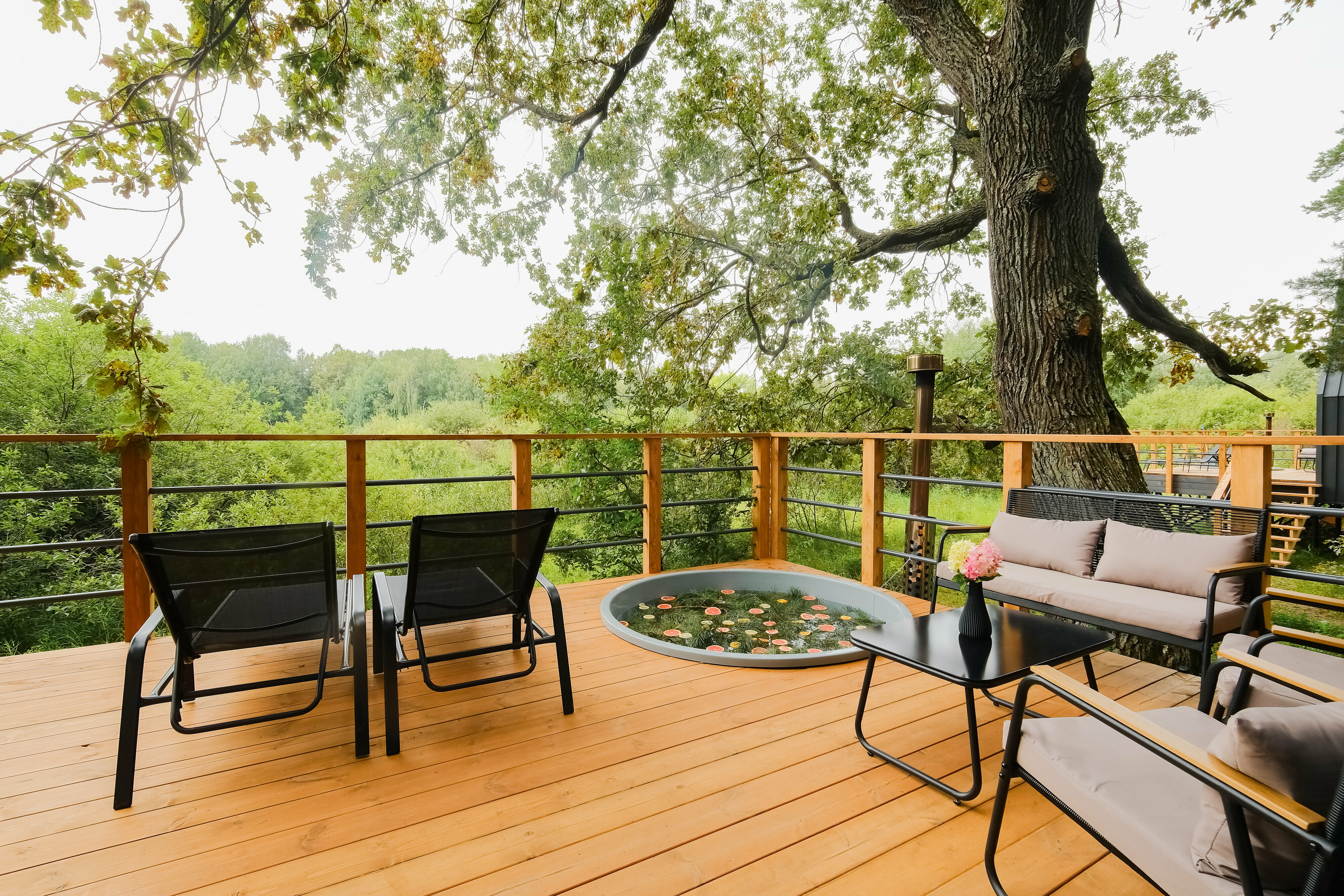 Дом с видом на лес