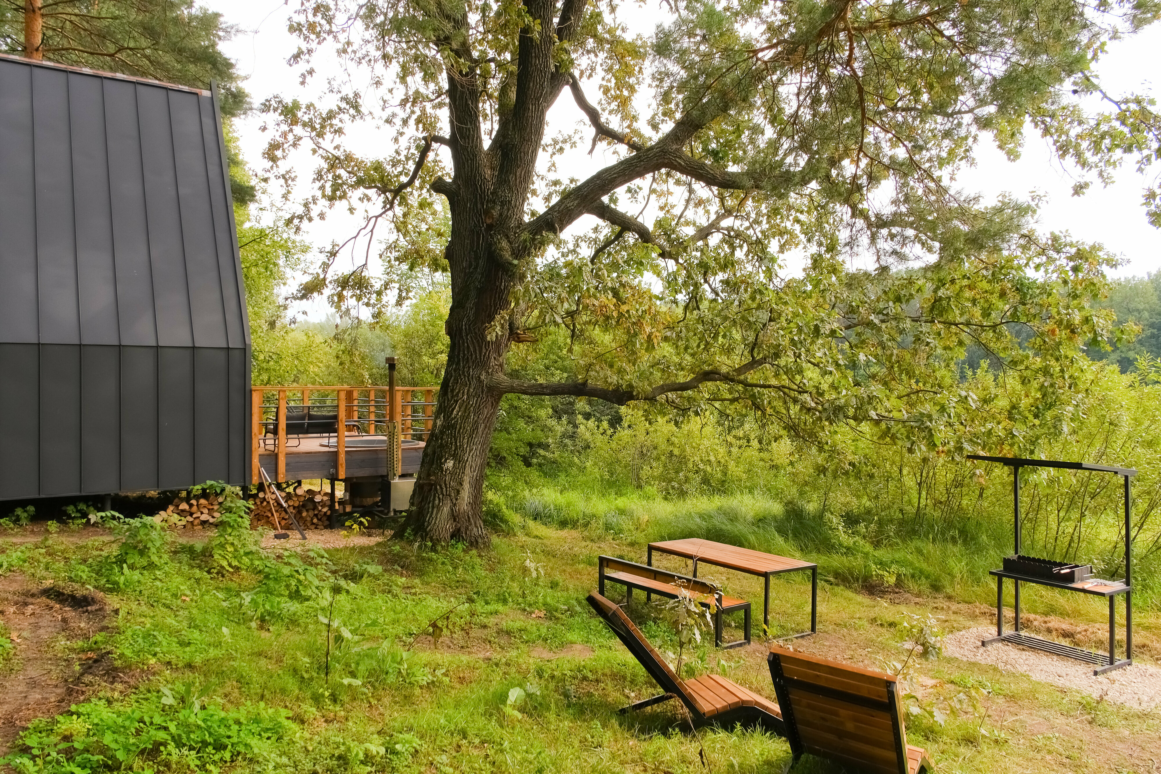 Дом с видом на лес