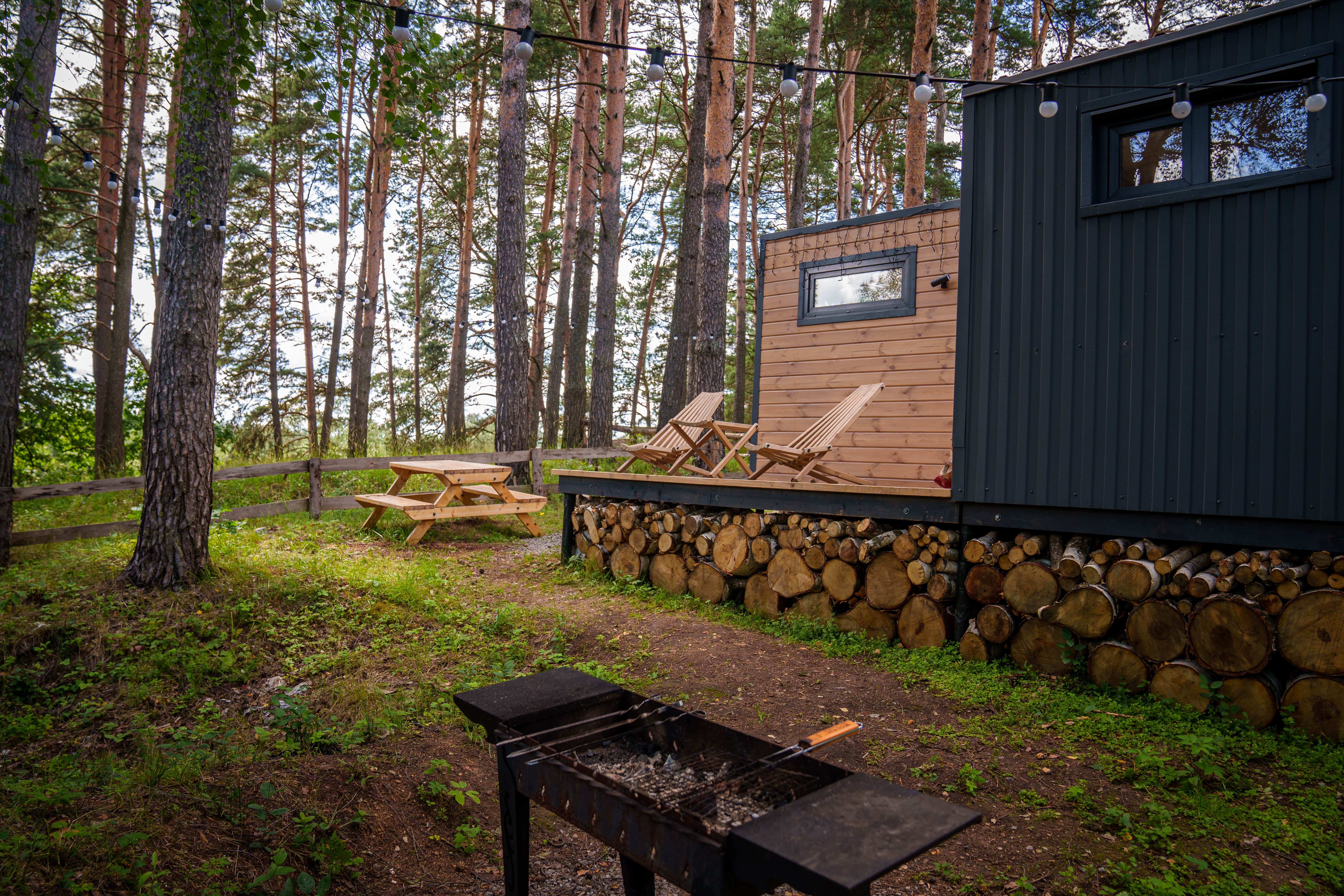 Дом с видом на лес