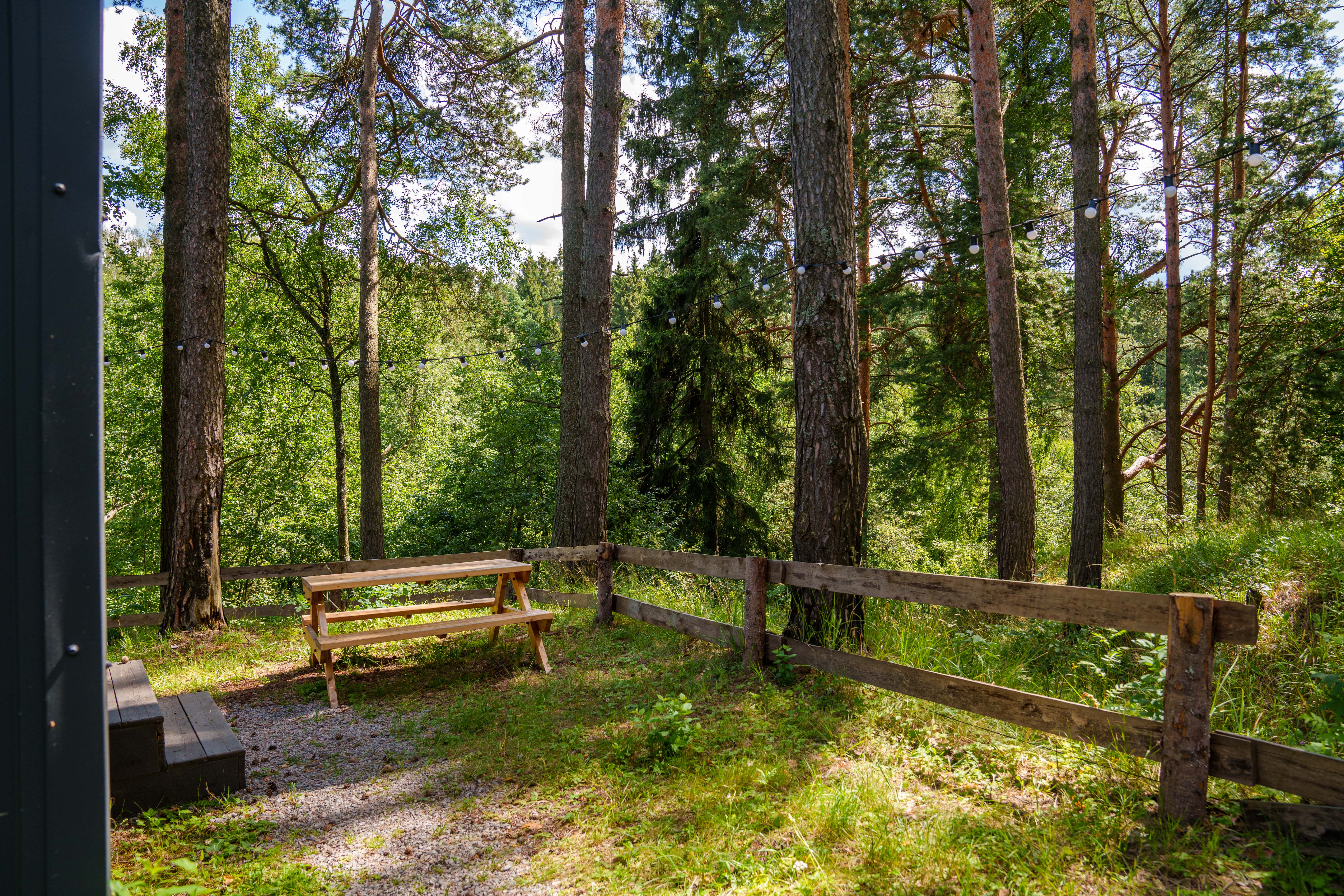 Дом с видом на лес