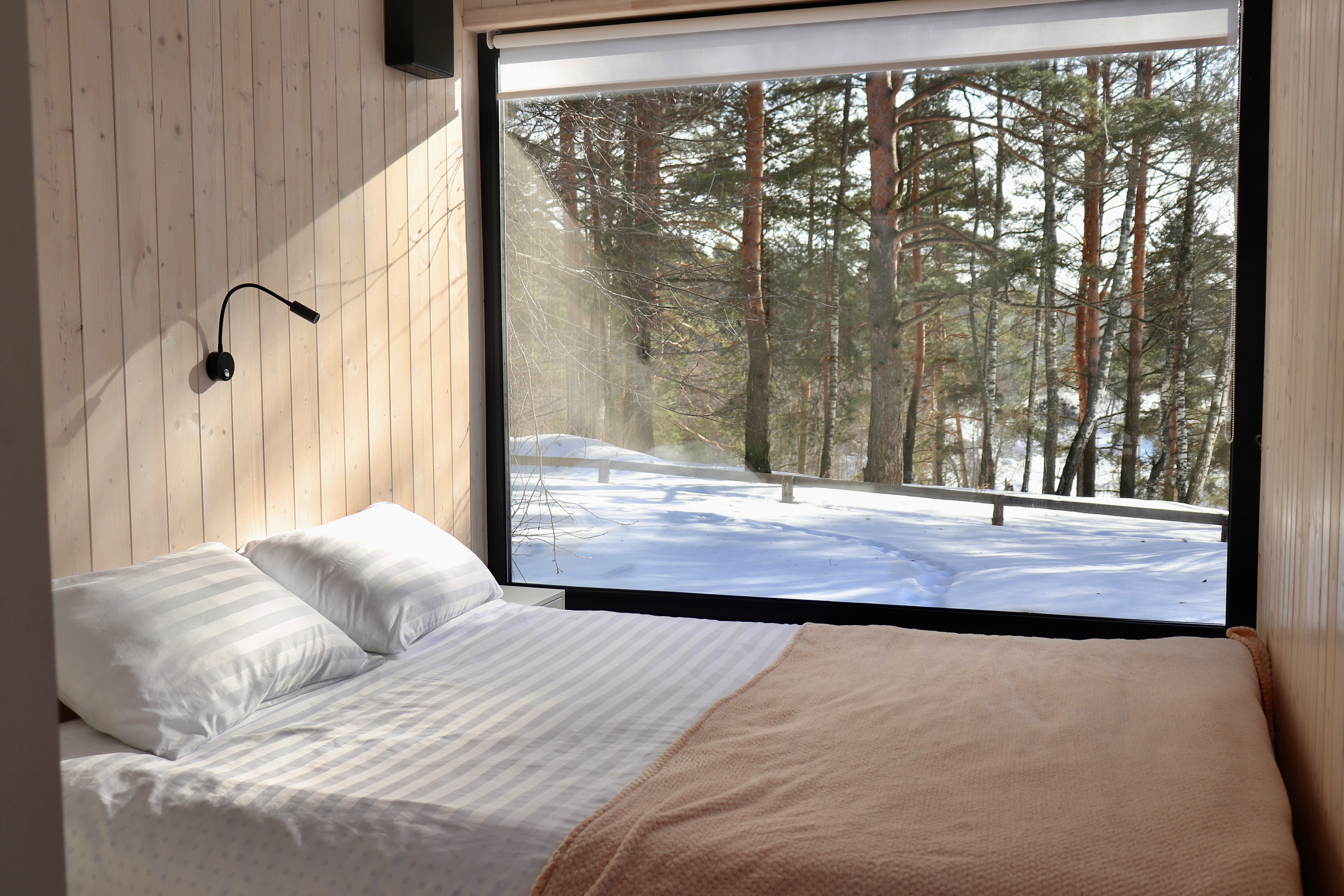 Дом с видом на лес