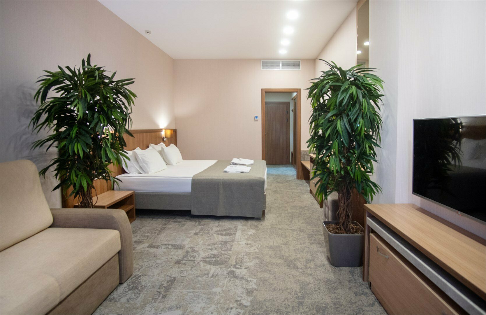 Двухместный номер Делюкс с 1 кроватью