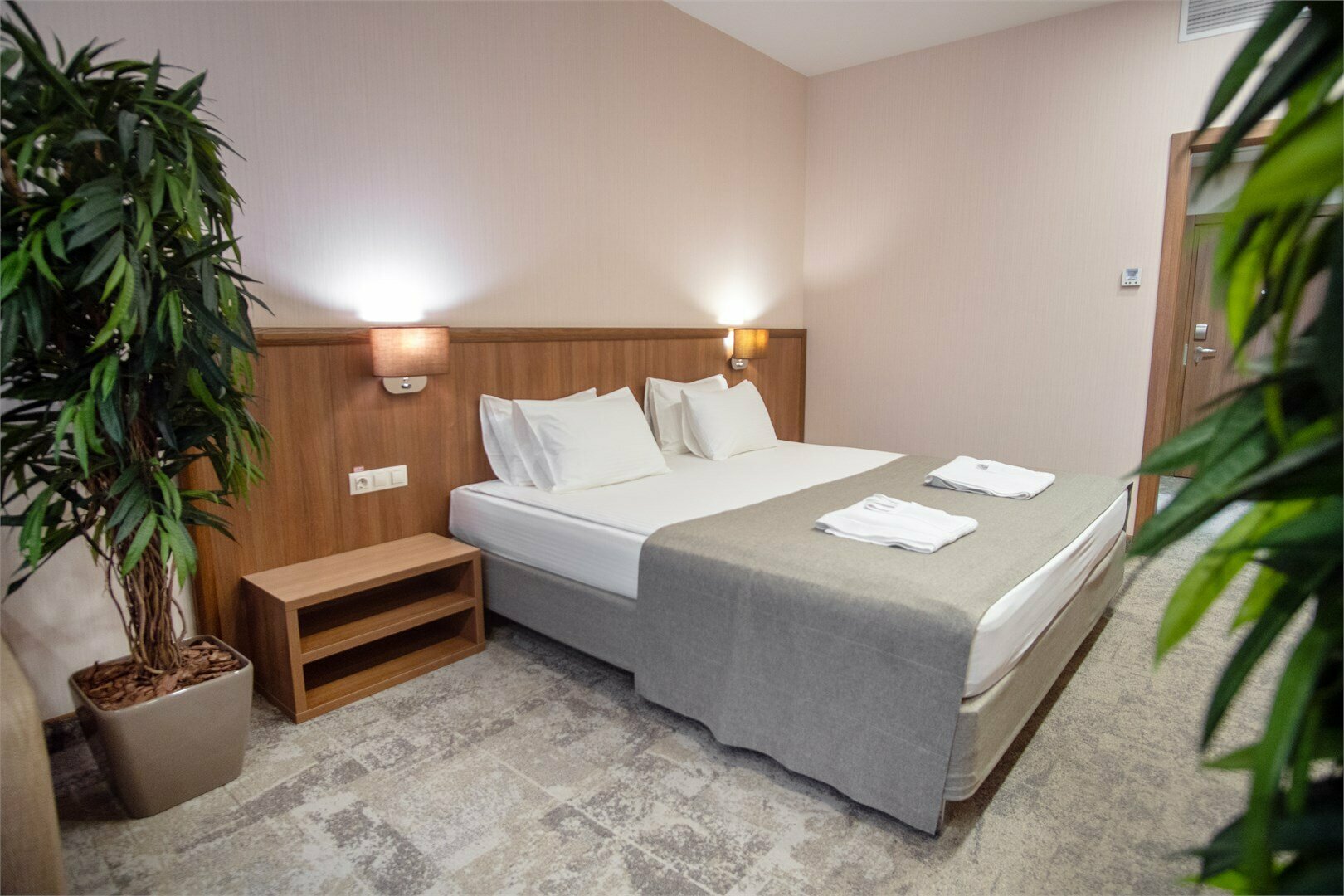 Двухместный номер Делюкс с 1 кроватью