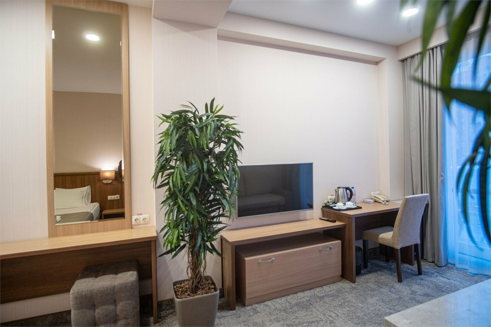 Двухместный номер Делюкс с 1 кроватью