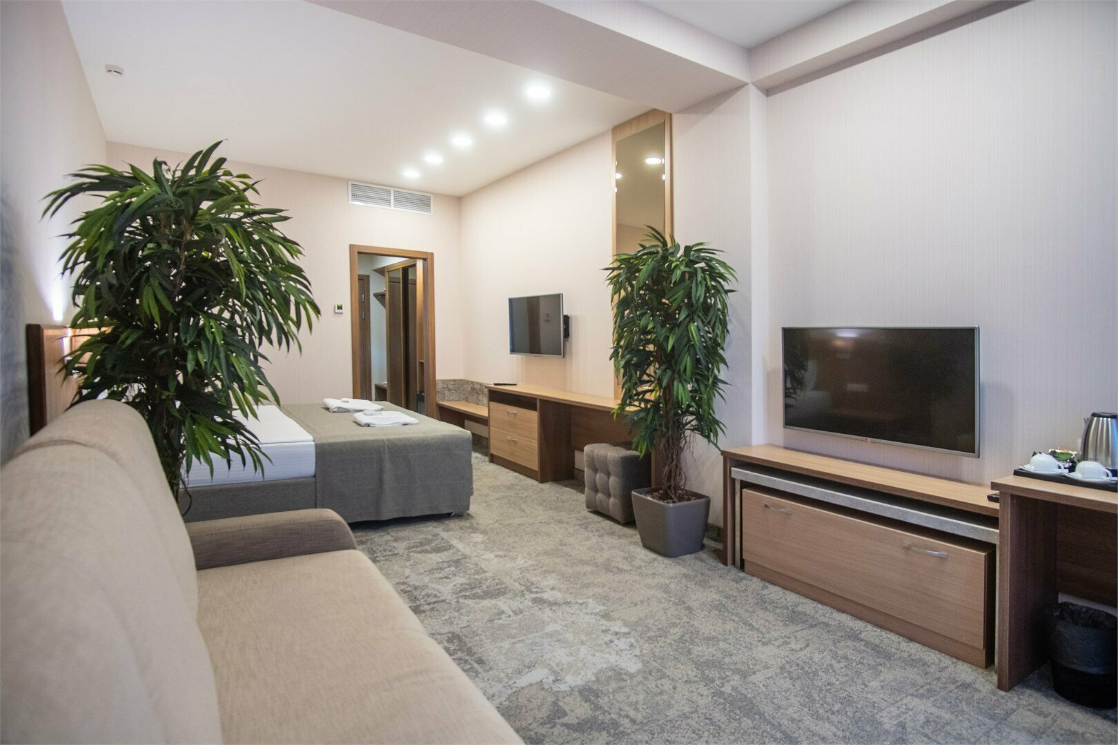 Двухместный номер Делюкс с 1 кроватью