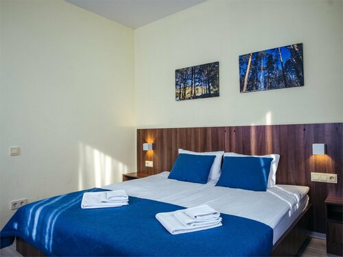 Двухместный номер с 1 кроватью или 2 отдельными кроватями в Спасское