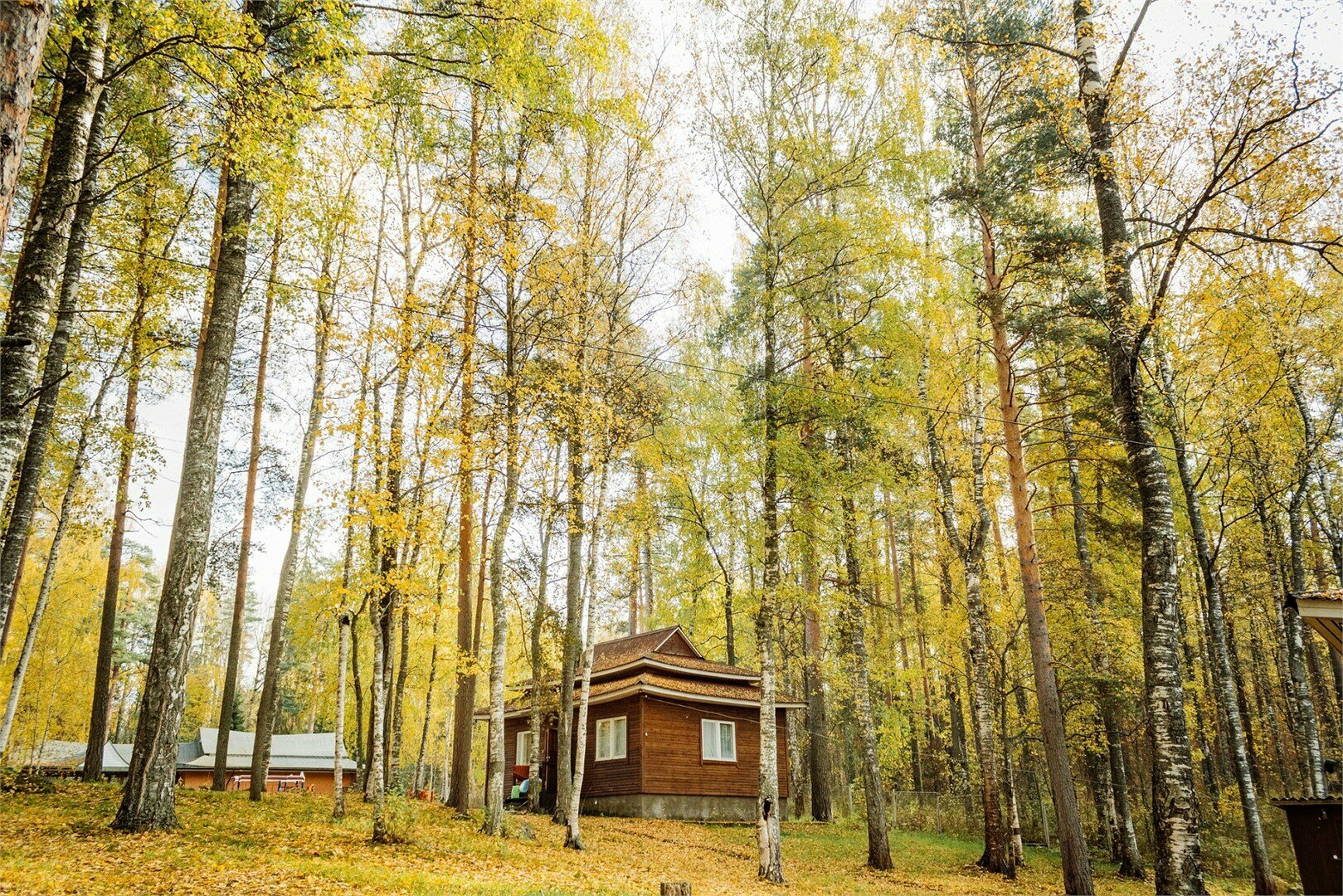 Коттедж «1»