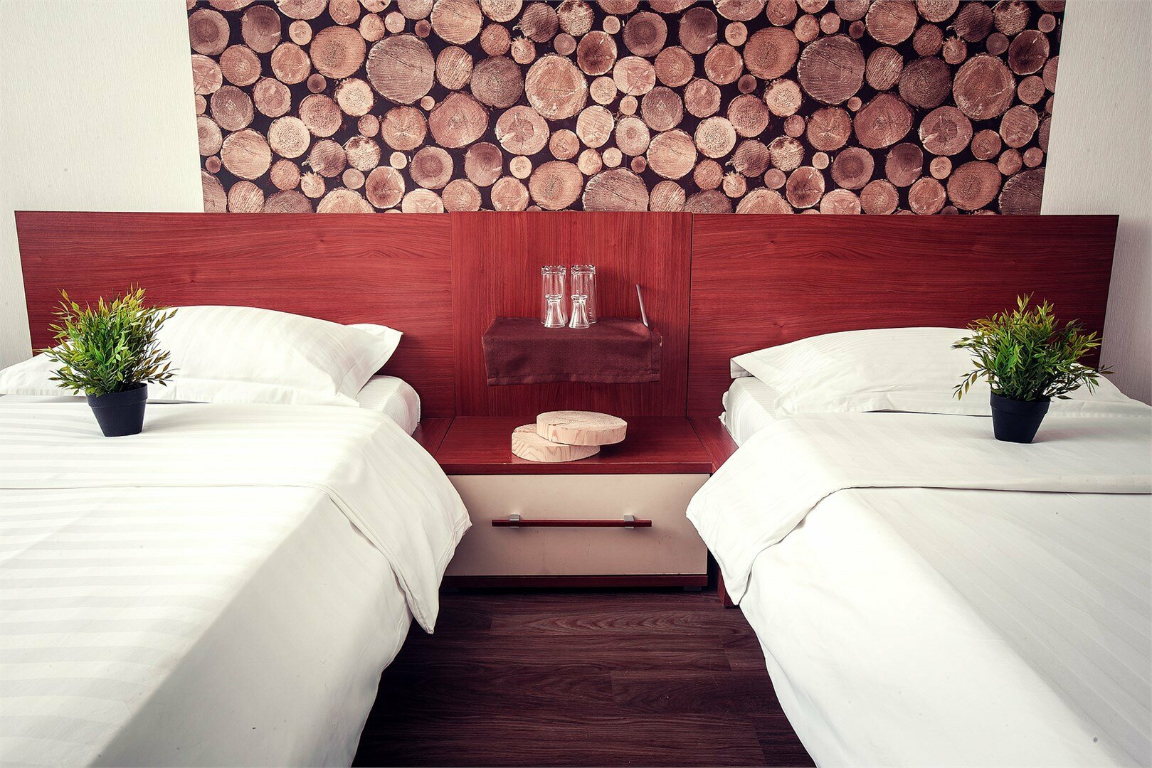 «Стандарт» twin