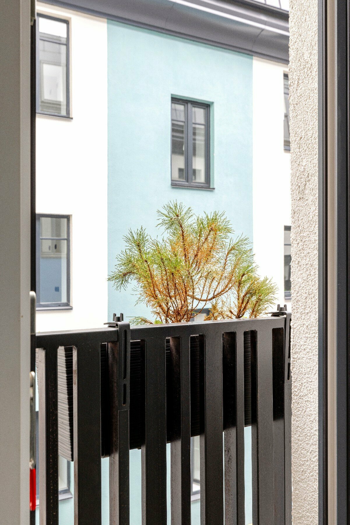 Улучшенные апартаменты