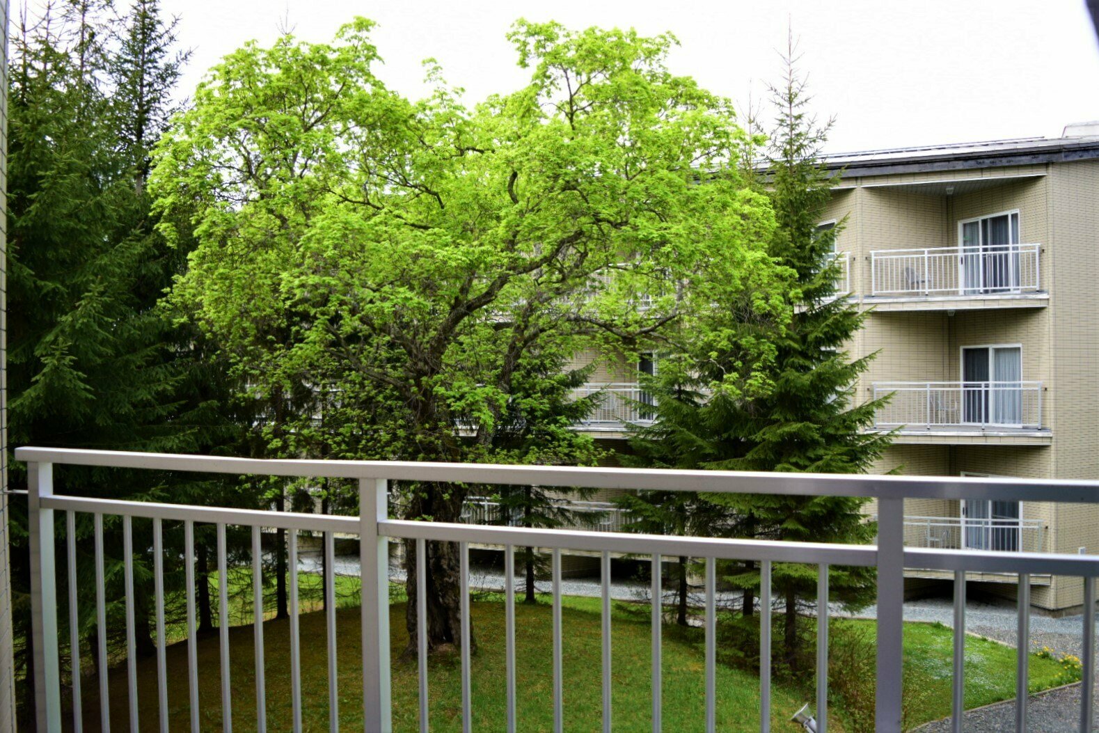 Двухместный номер с 2 отдельными кроватями