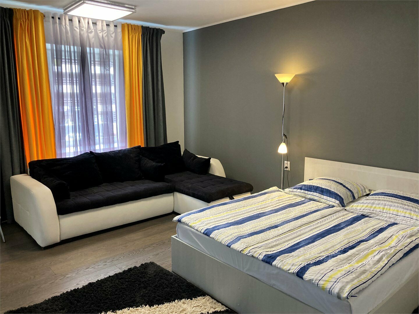 Студия с диваном с санузлом в комнате