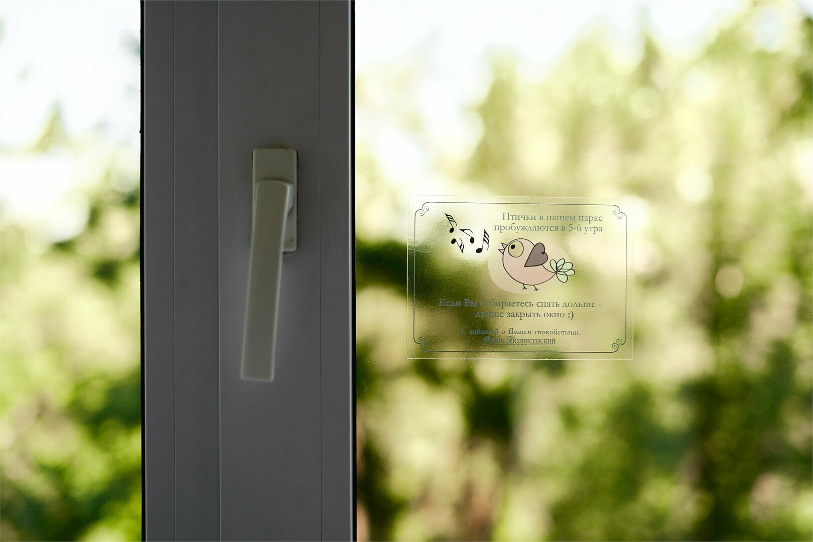 Стандарт с видом на парк