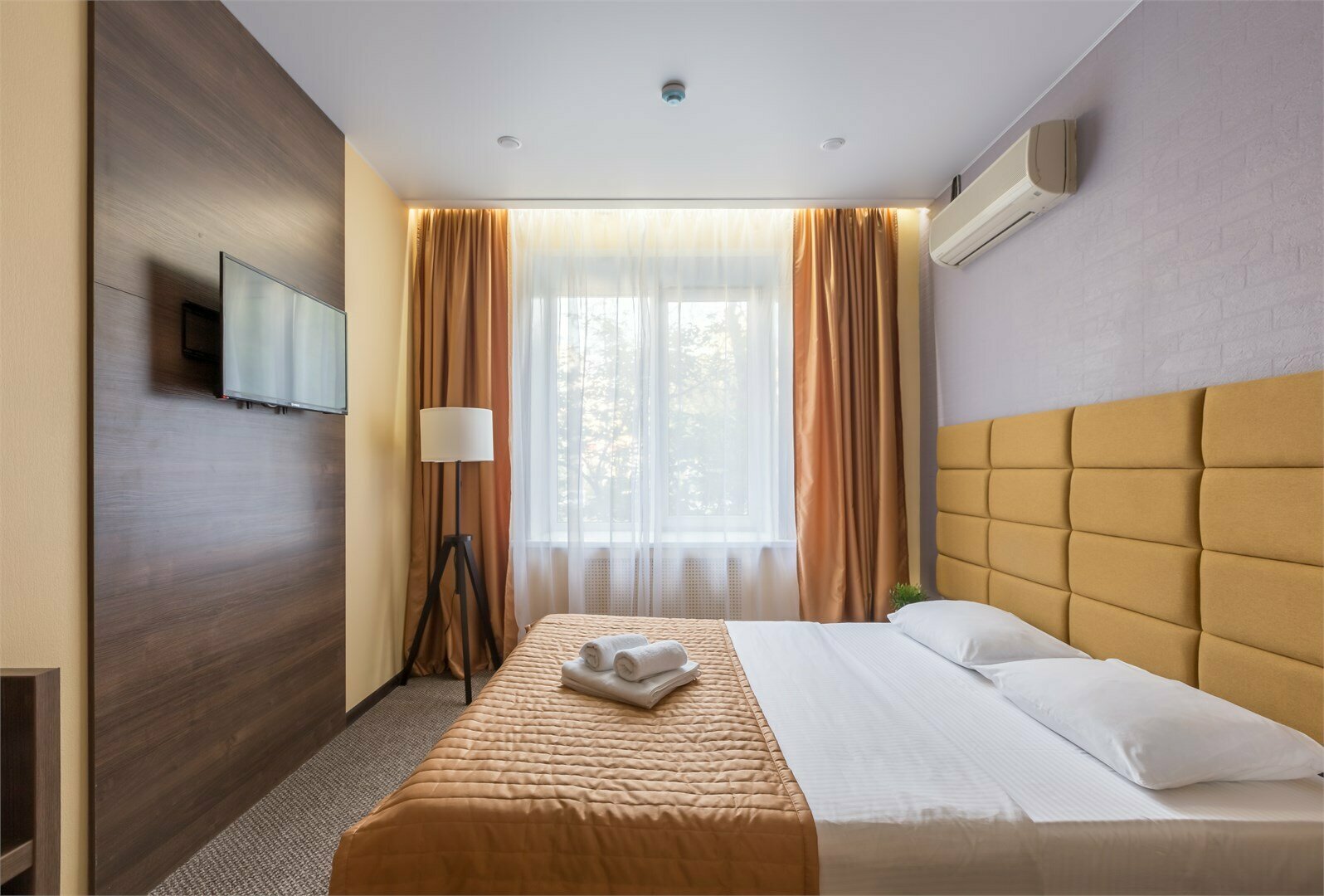 Двухместный номер Делюкс с 1 кроватью