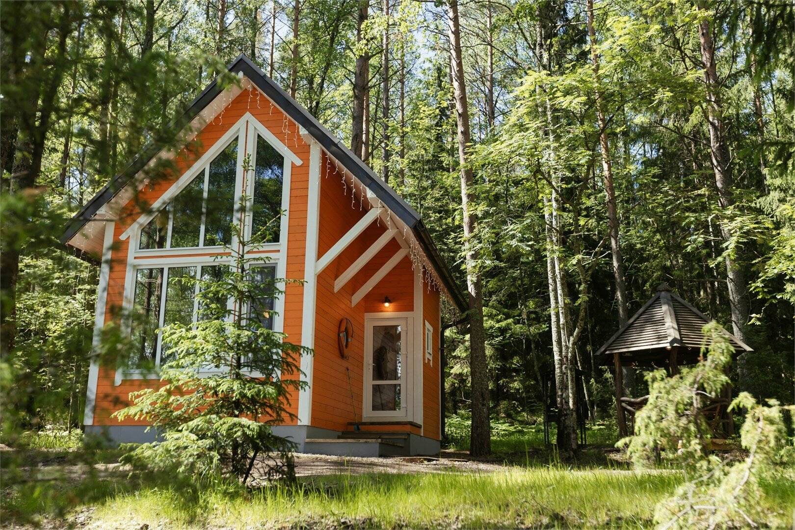 Коттедж панорамный