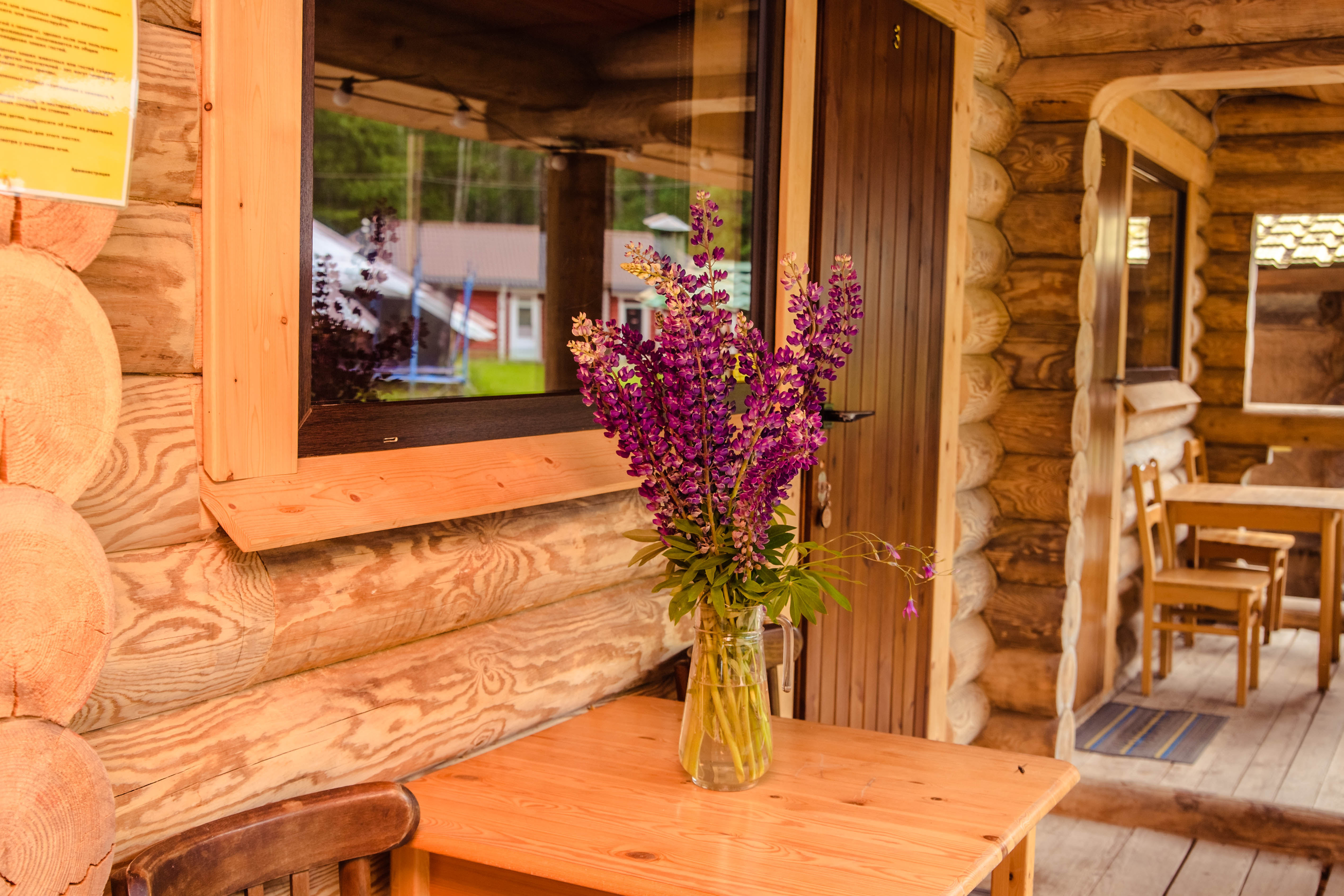 Двухместный номер с 1 кроватью и видом на парк