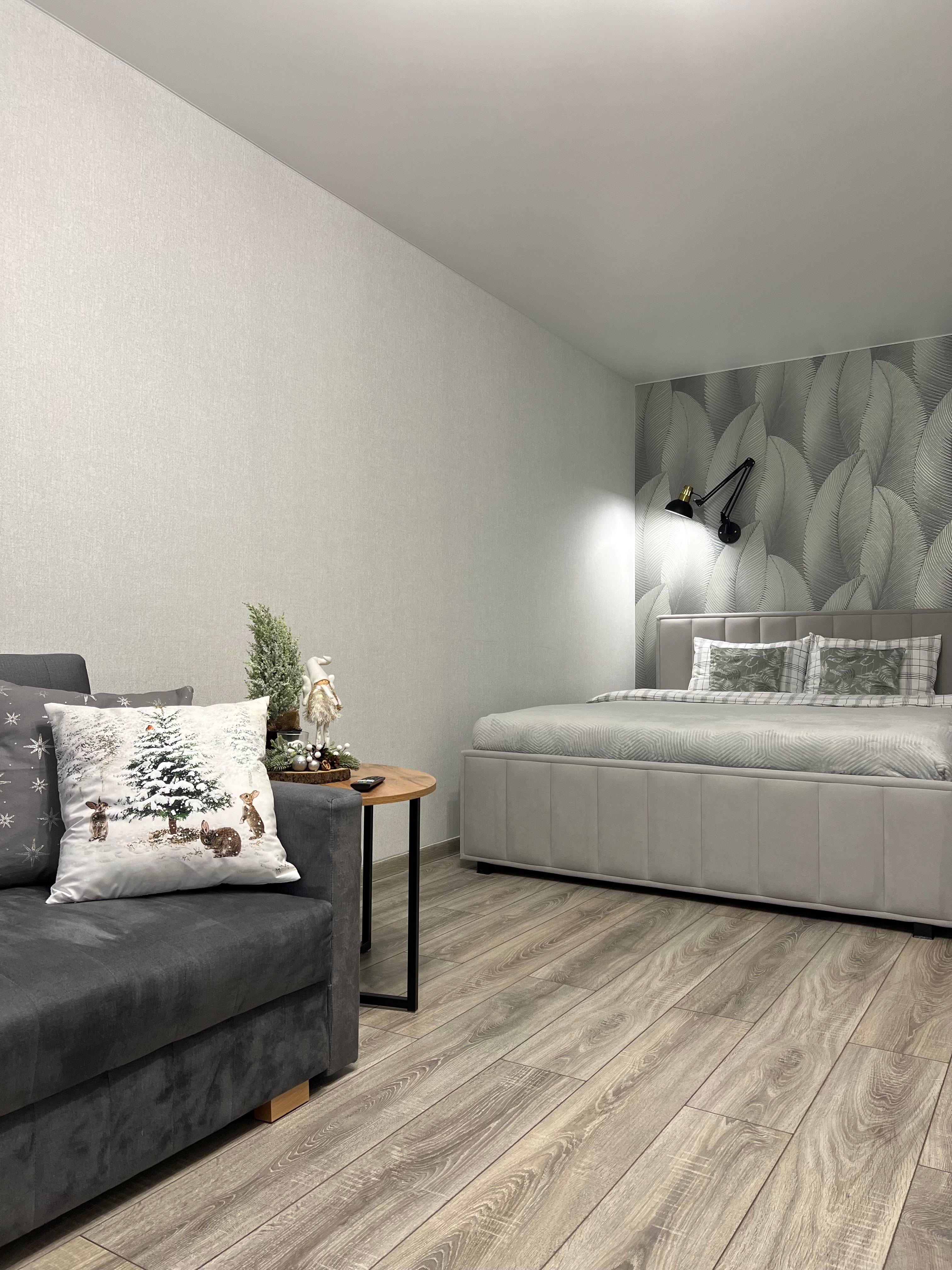 Апартаменты с 1 спальней