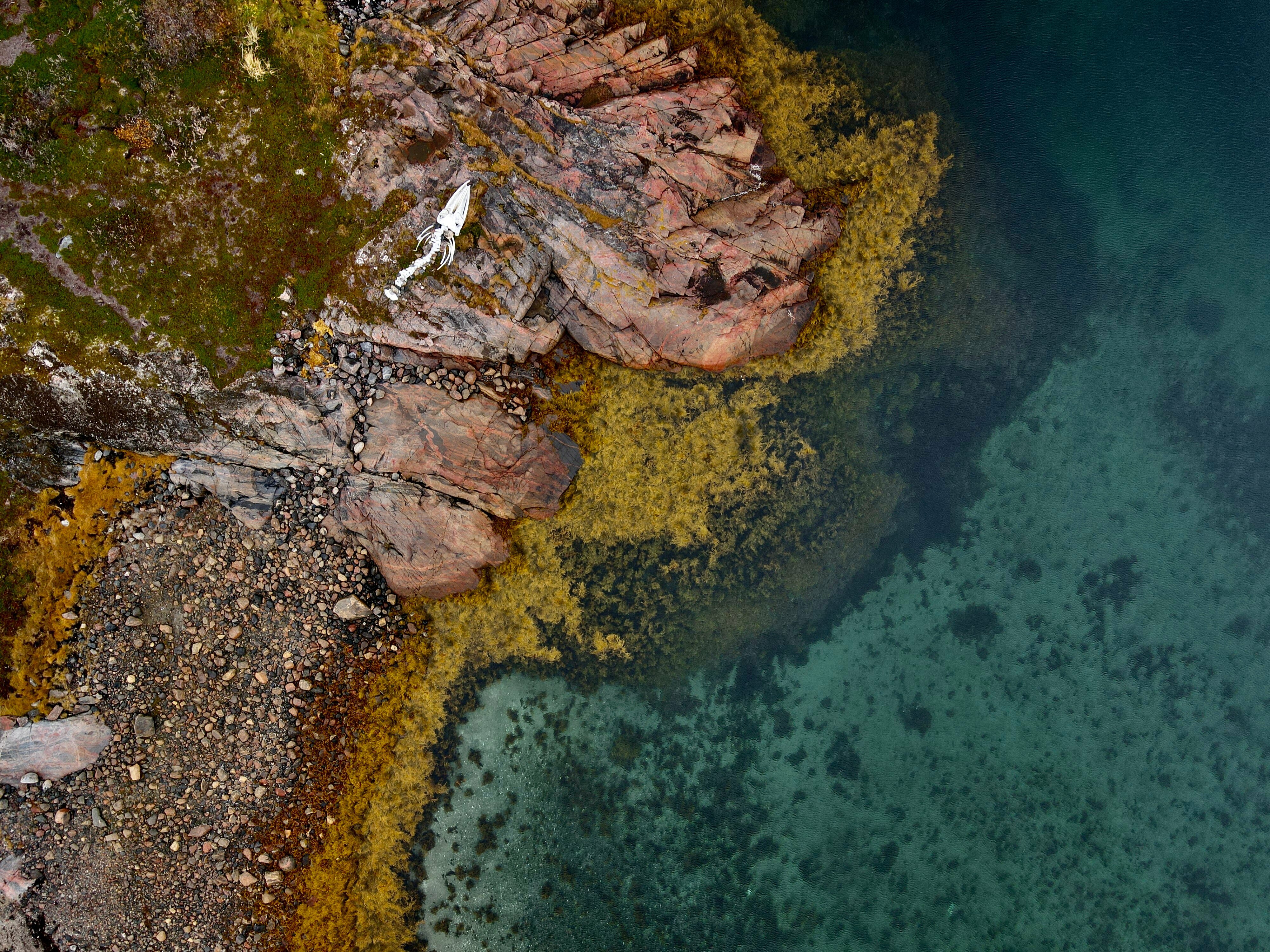 Четырехместный номер с видом на море