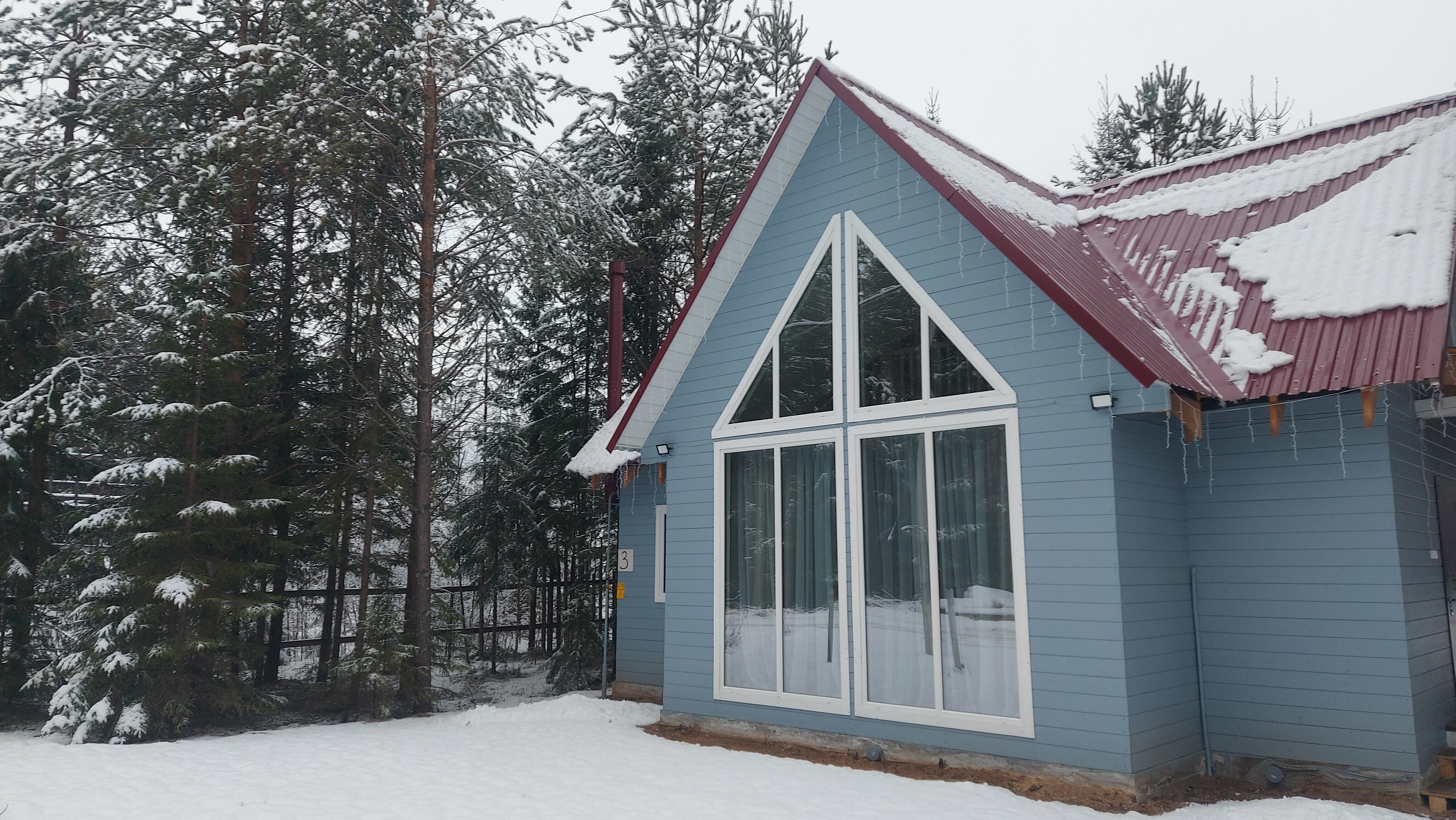 Дом с видом на лес