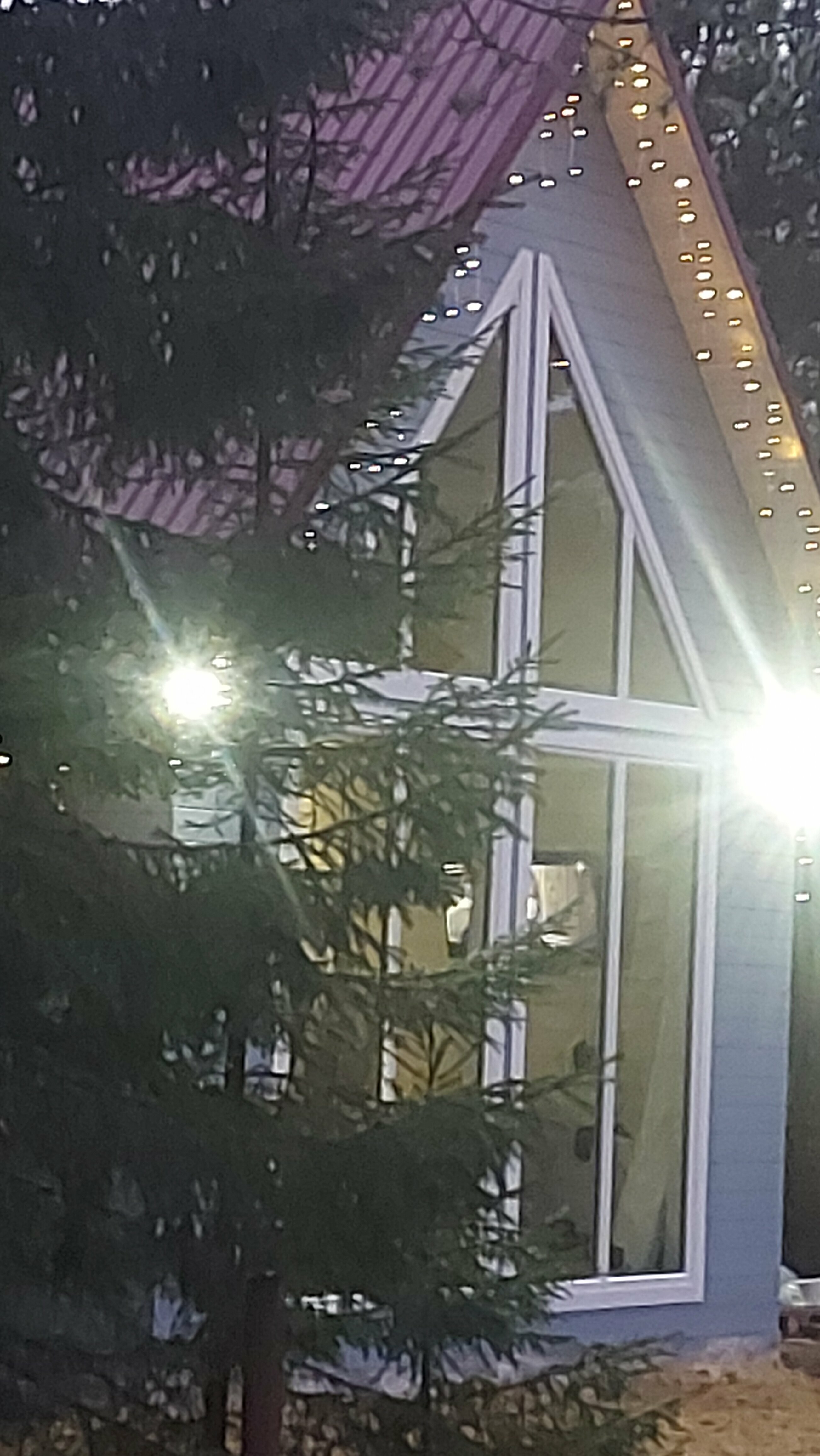 Дом с видом на лес