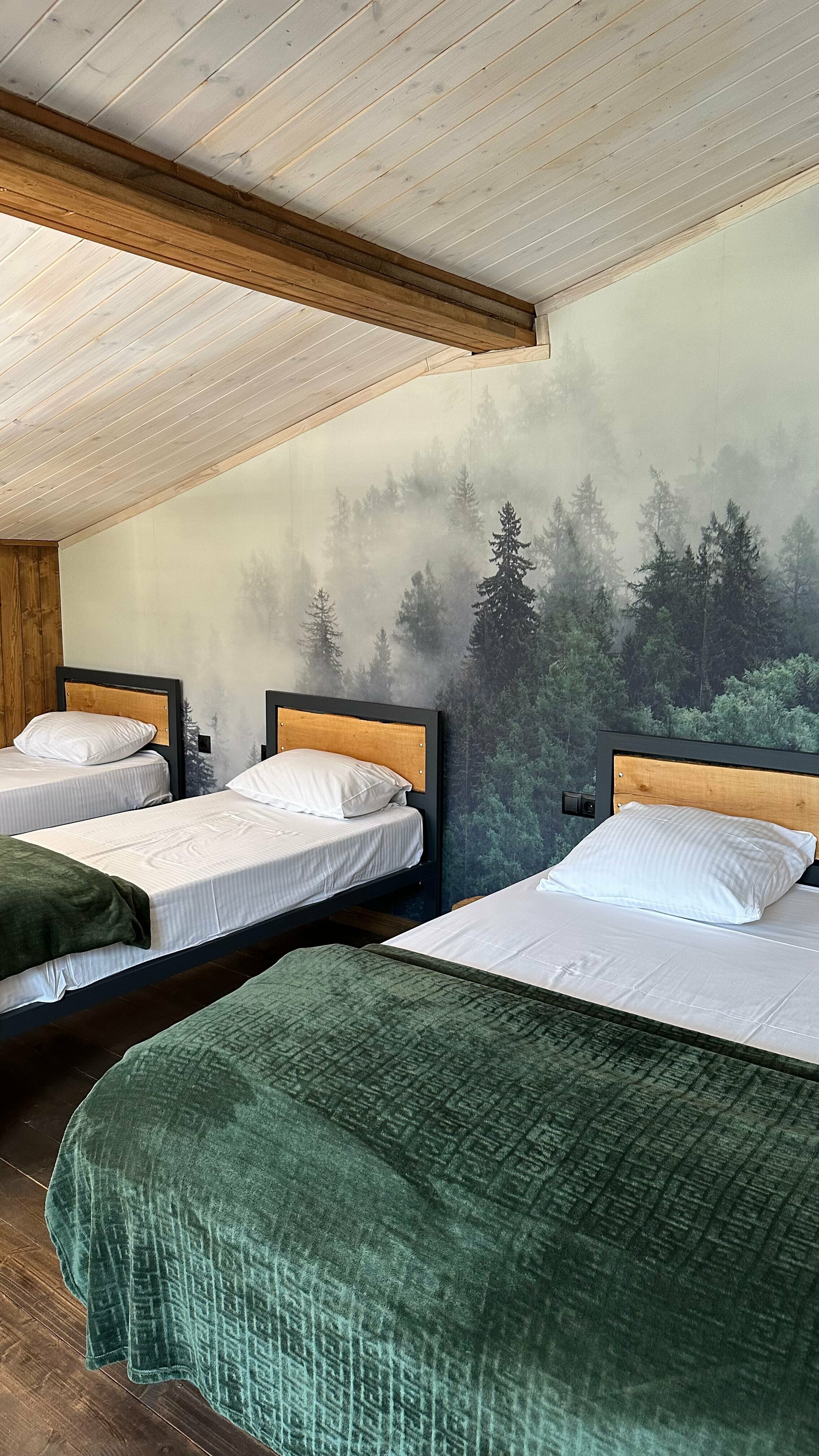 Семейный номер с видом на горы