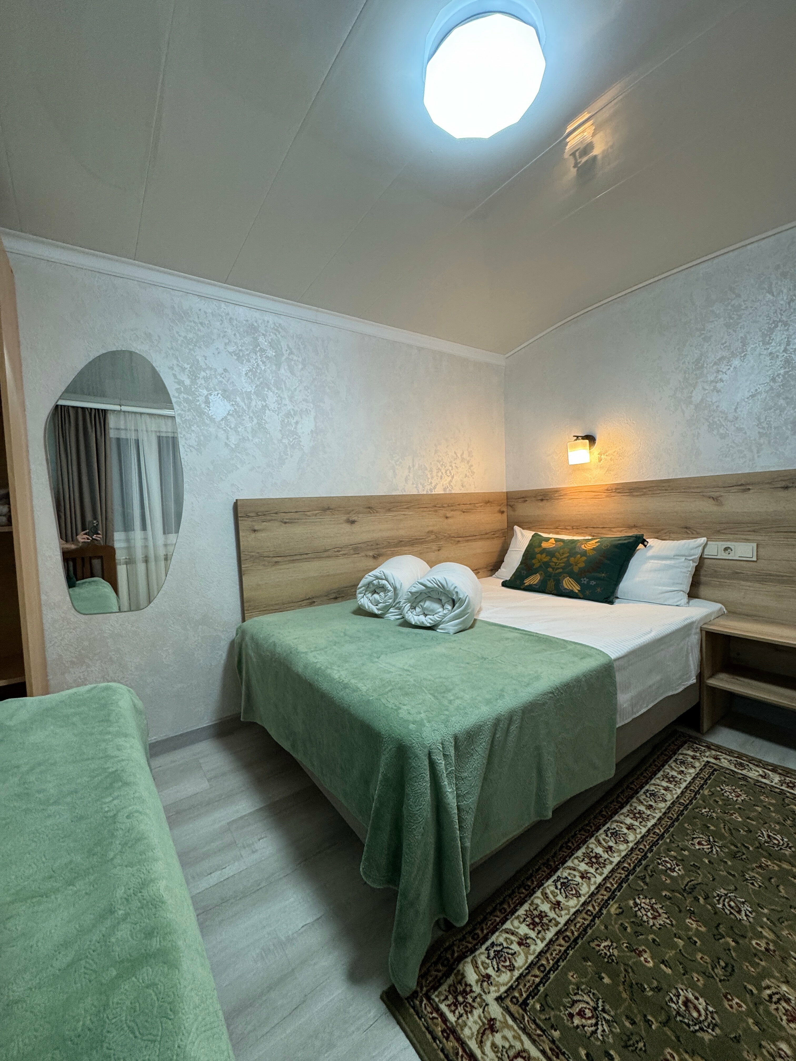 Двухместный номер с 1 кроватью или 2 отдельными кроватями, вид на горы