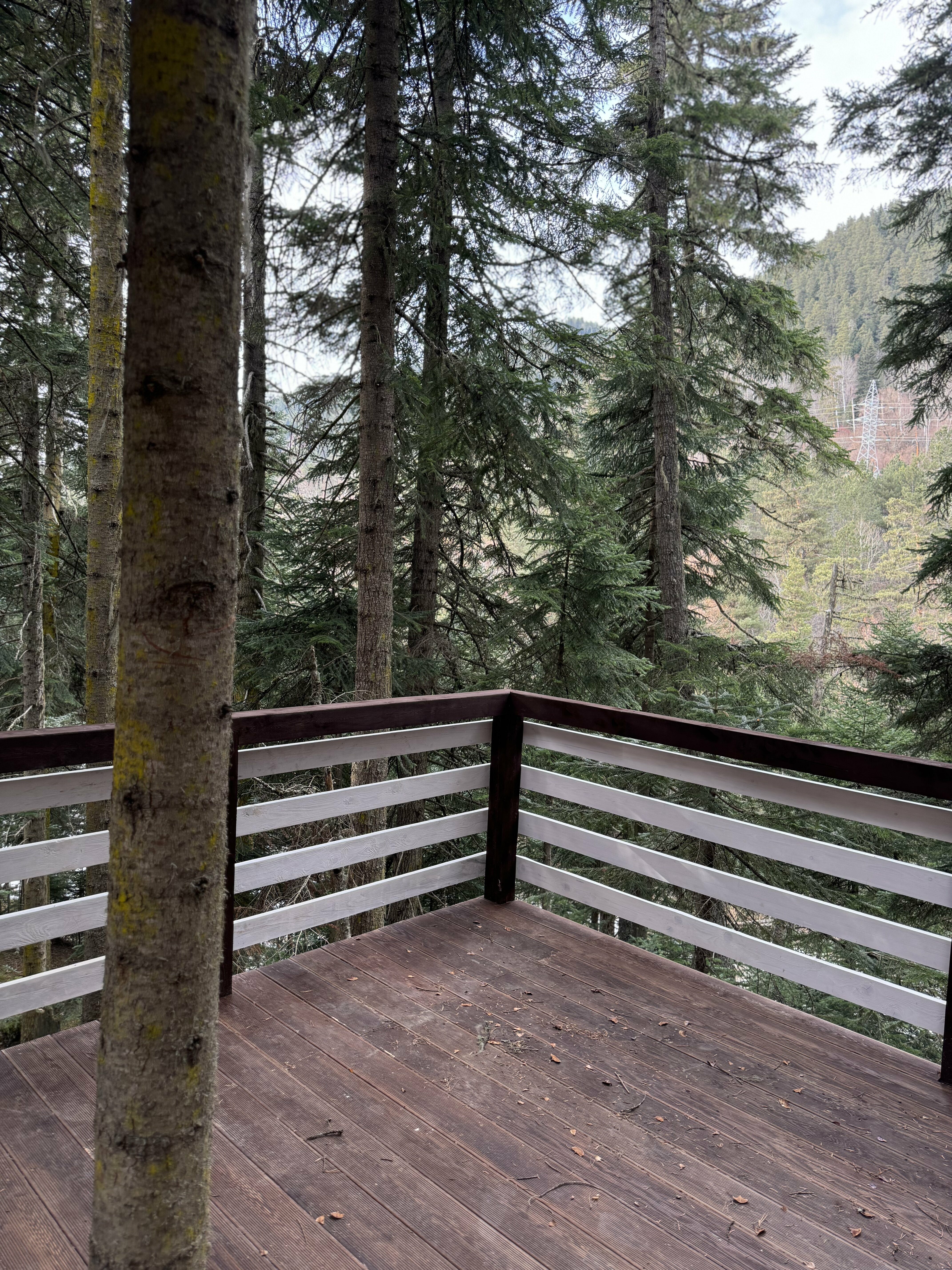 Панорамный  домик Les Arcs