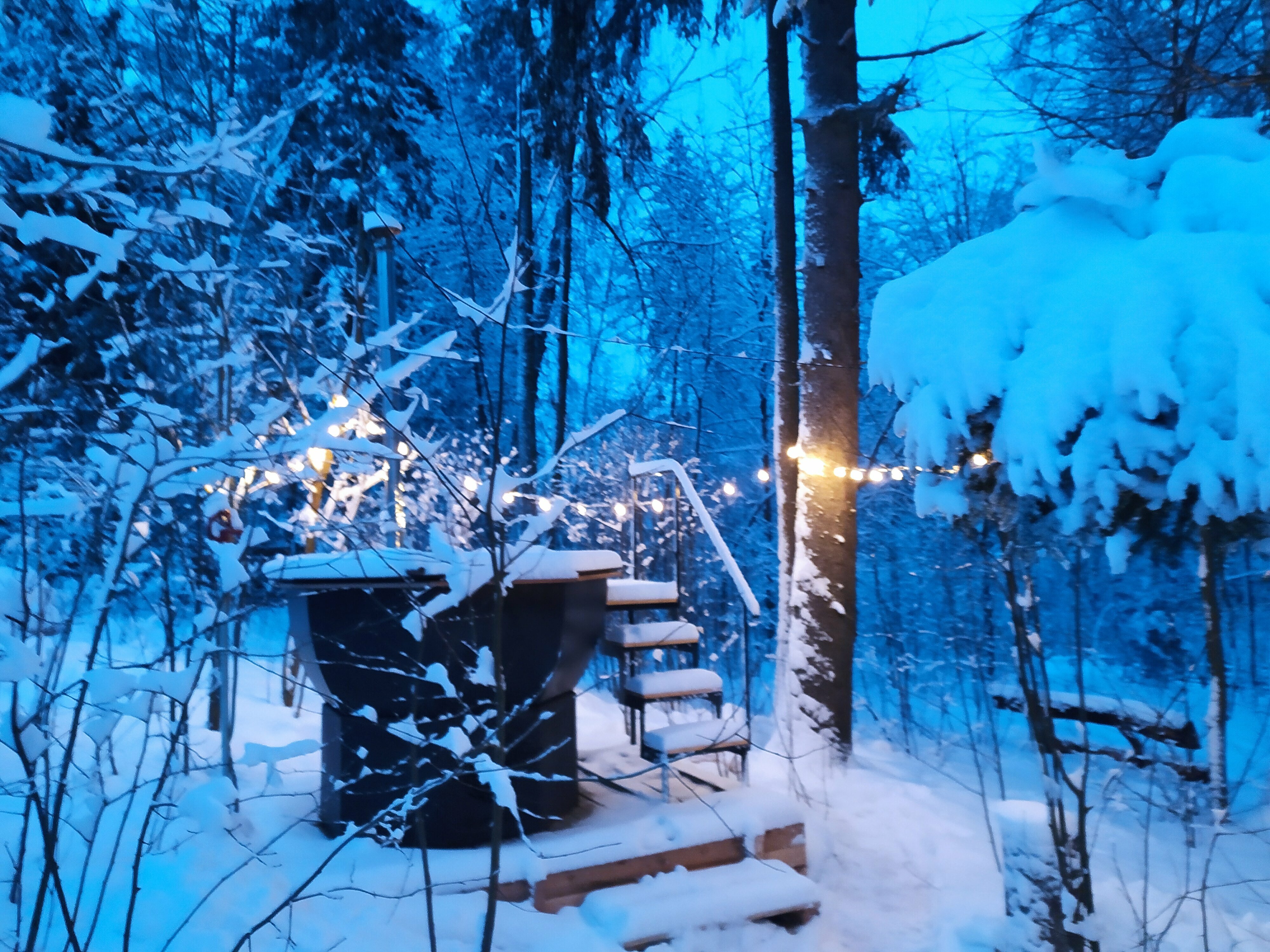 треугольный дом в лесу с высокой террасой и чаном