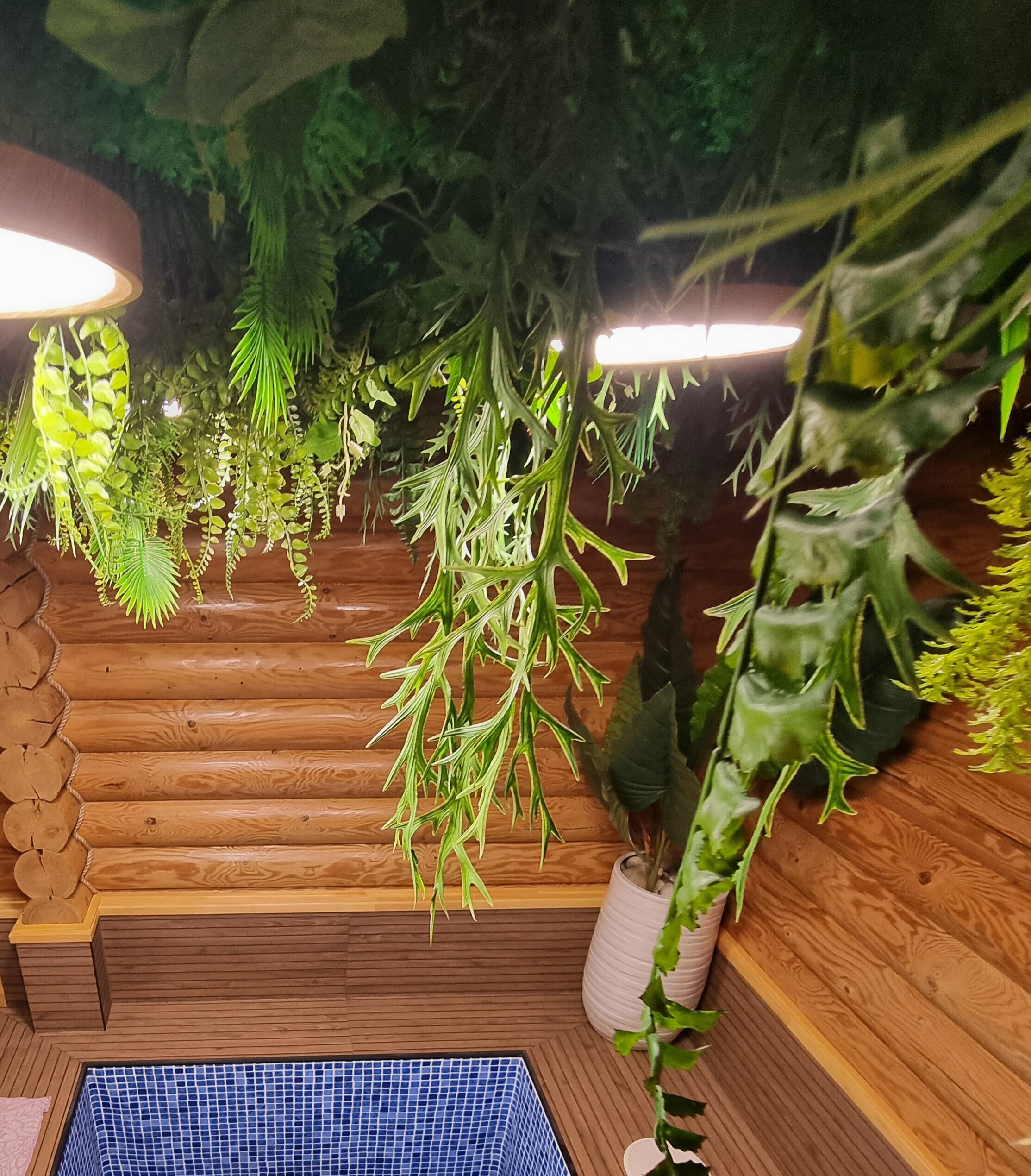 Коттедж с термальным бассейном и баней