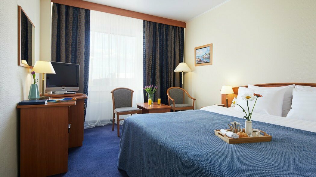 Стандарт плюс с широкой кроватью --- (ИЗМАЙЛОВО ОТЕЛЬ ГАММА 3*)