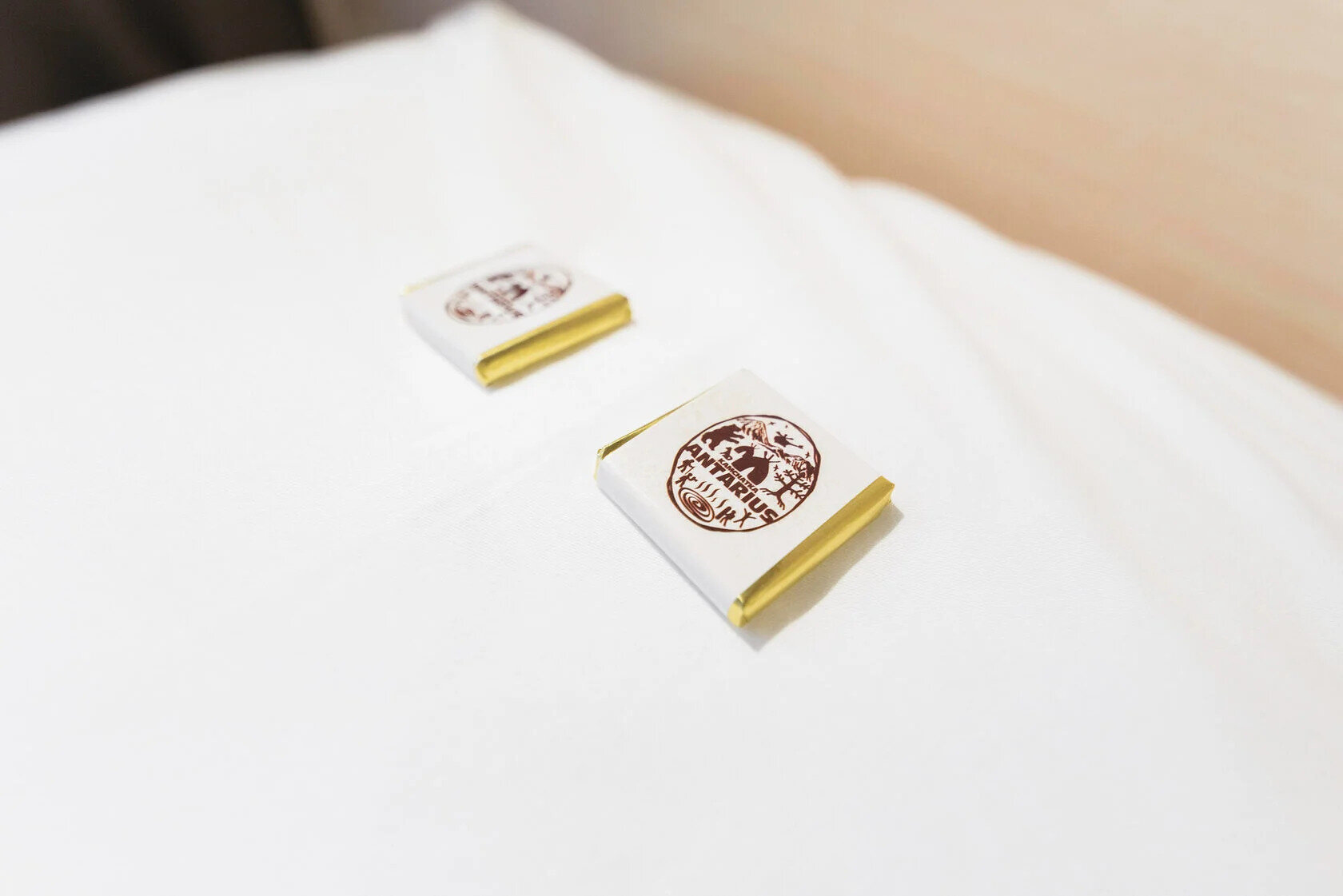 Стандартный двухместный номер с 1 кроватью или 2 отдельными кроватями