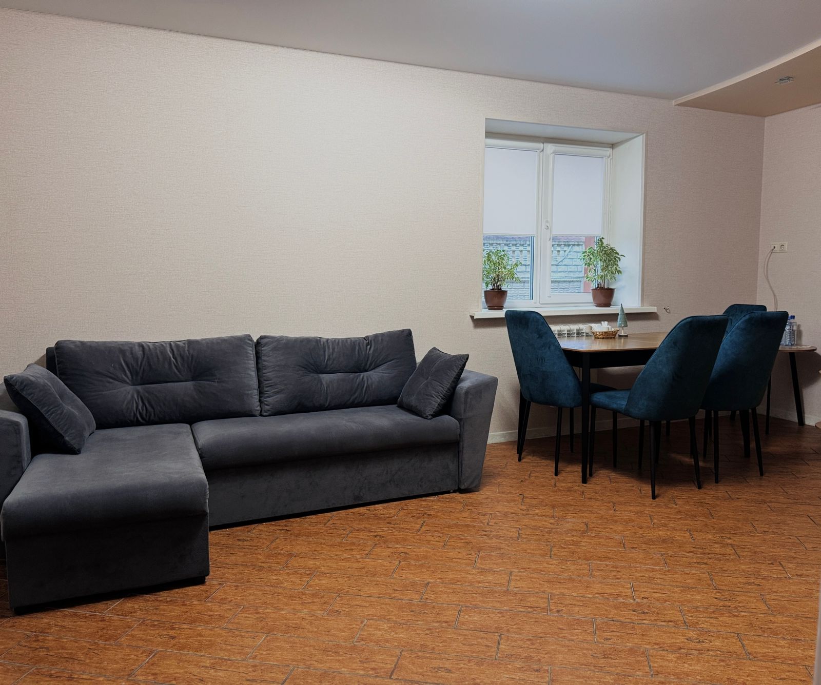 Апартаменты с 1 спальней