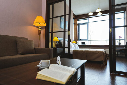 Номер-студия с диваном-кроватью в Золотой павлин