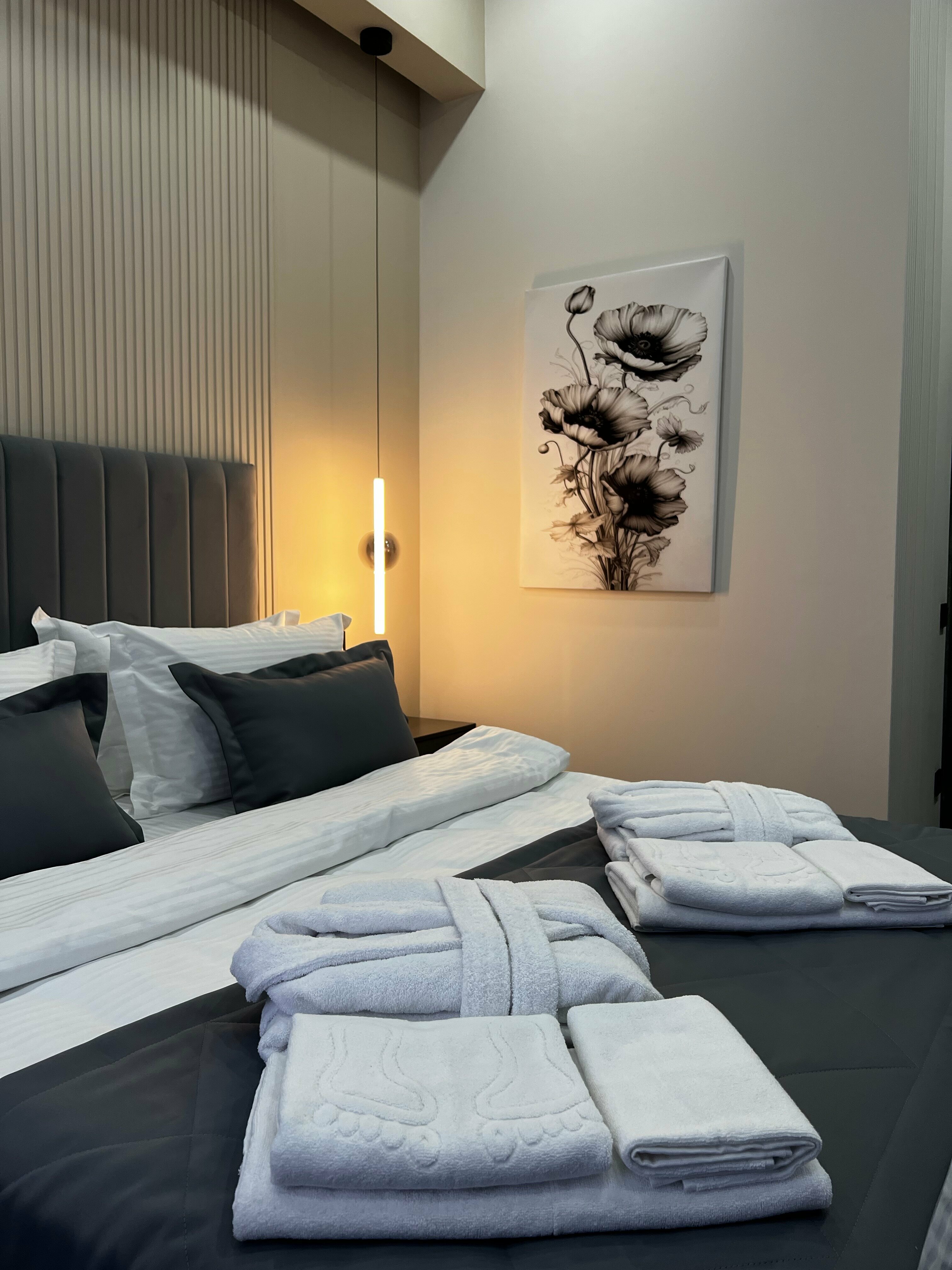 Стандартный двухместный люкс с 1 кроватью