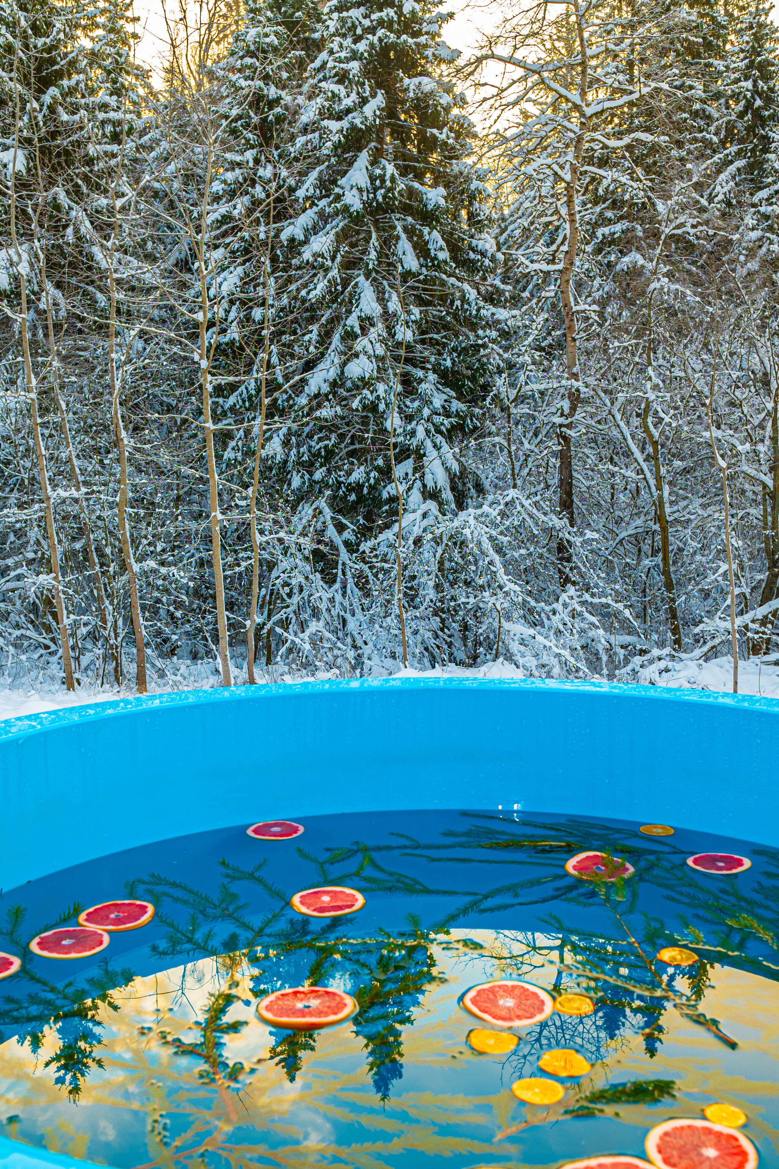 Дом с видом на лес