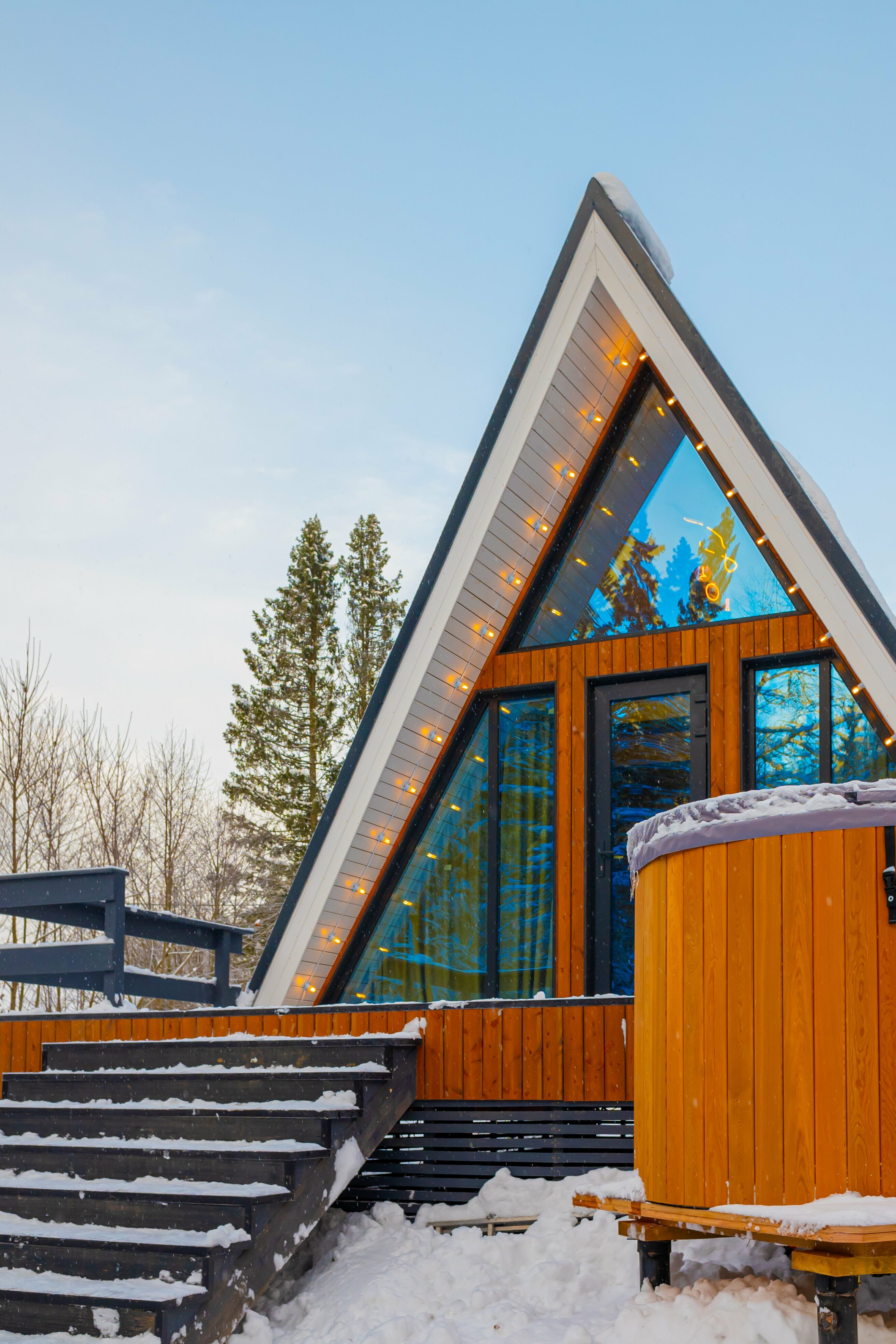 Дом с видом на лес