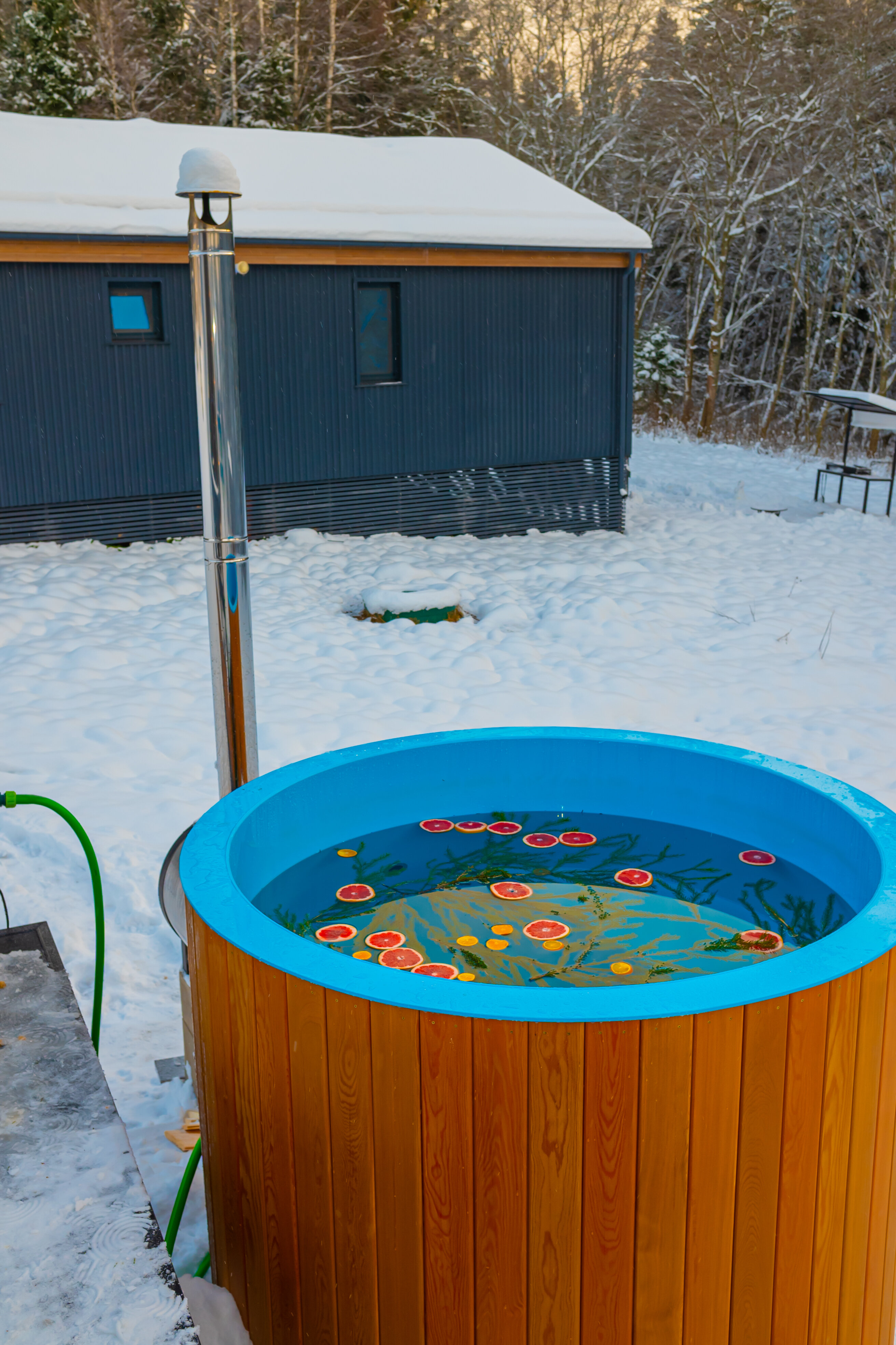 Дом с видом на лес