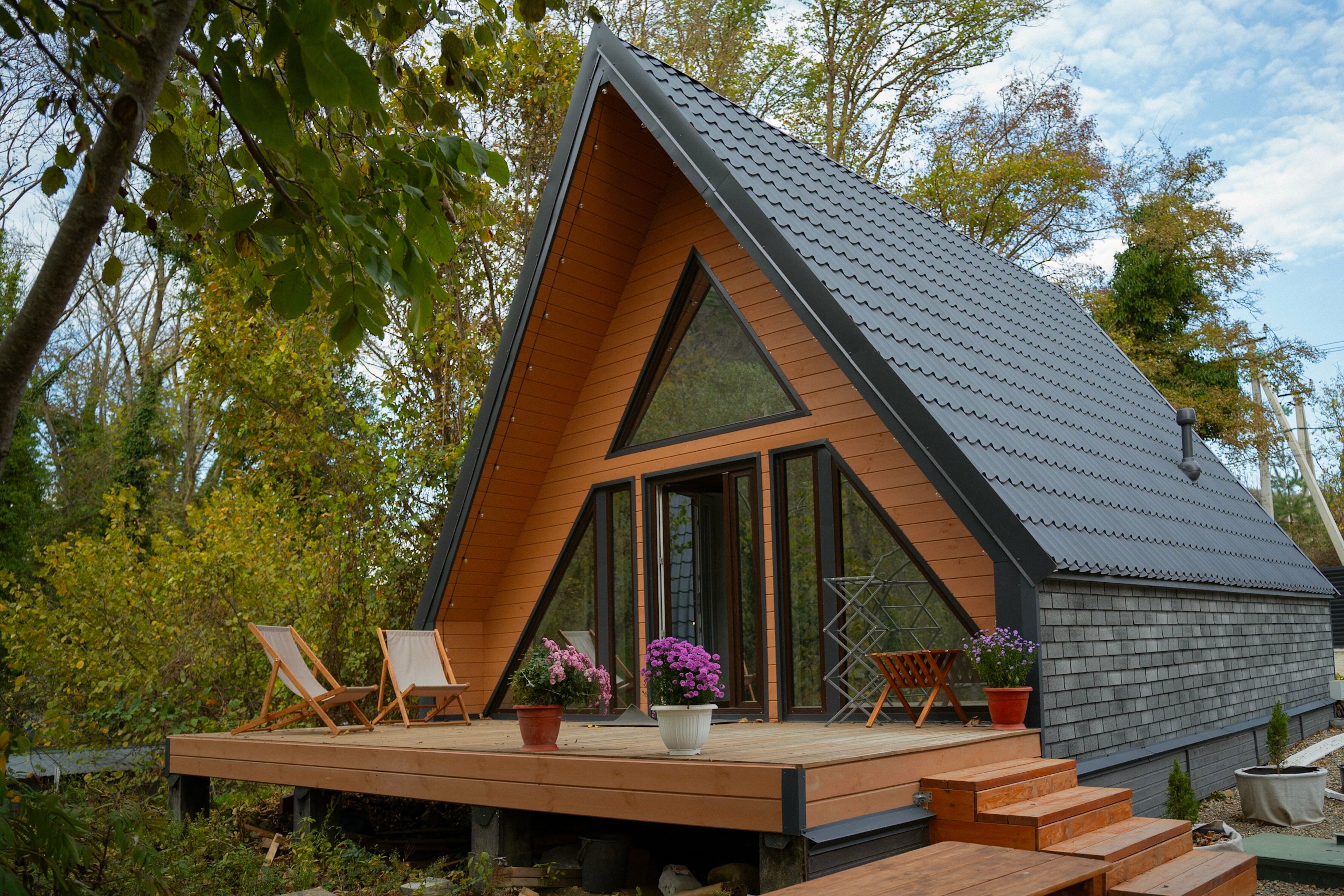 Дом с видом на лес