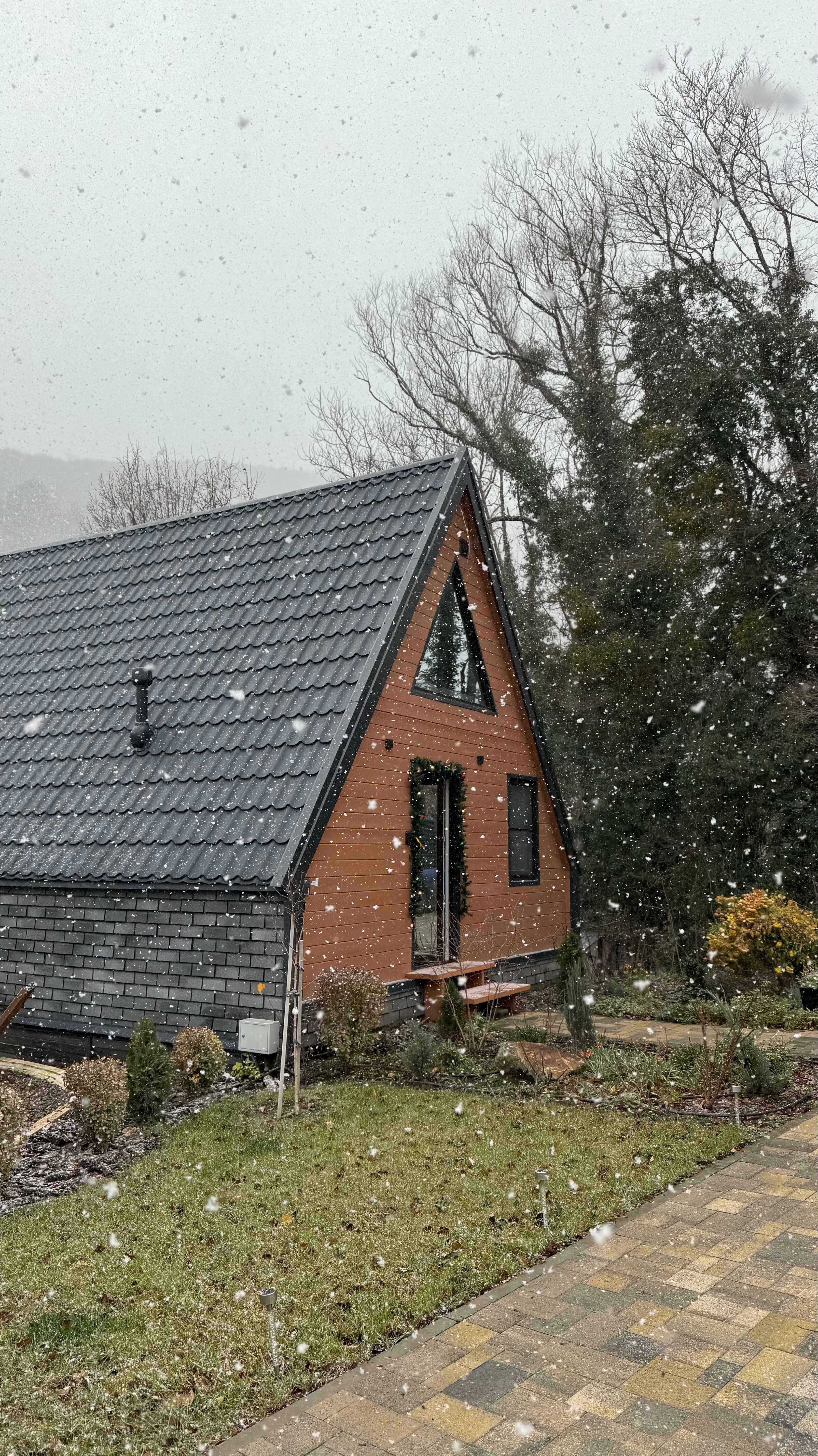 Дом с видом на лес