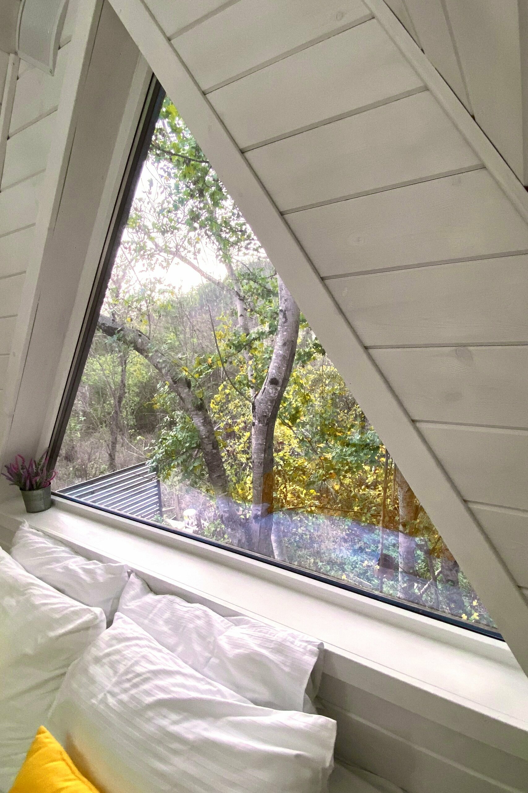 Дом с видом на бассейн