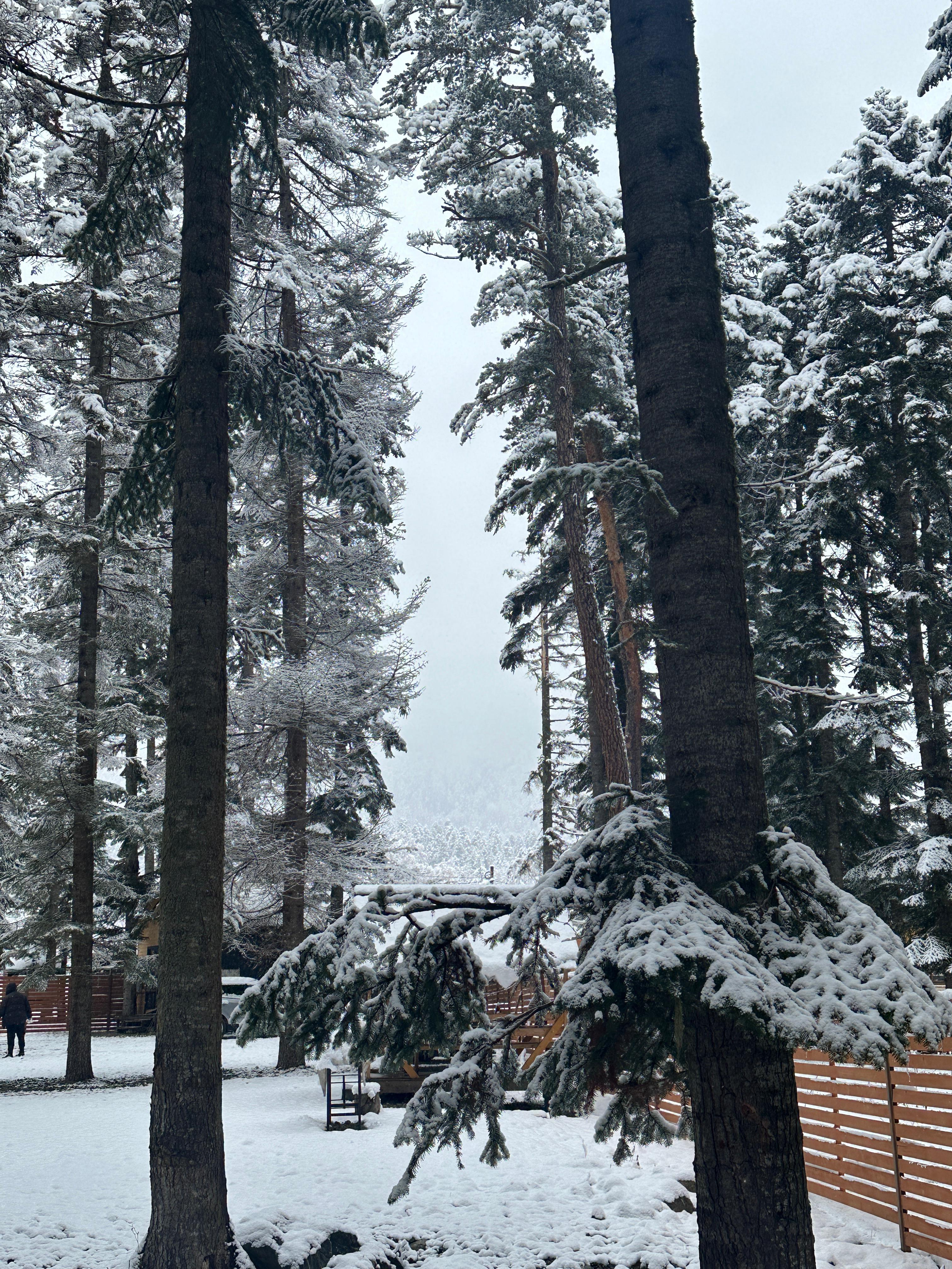 Коттедж для семейного отдыха