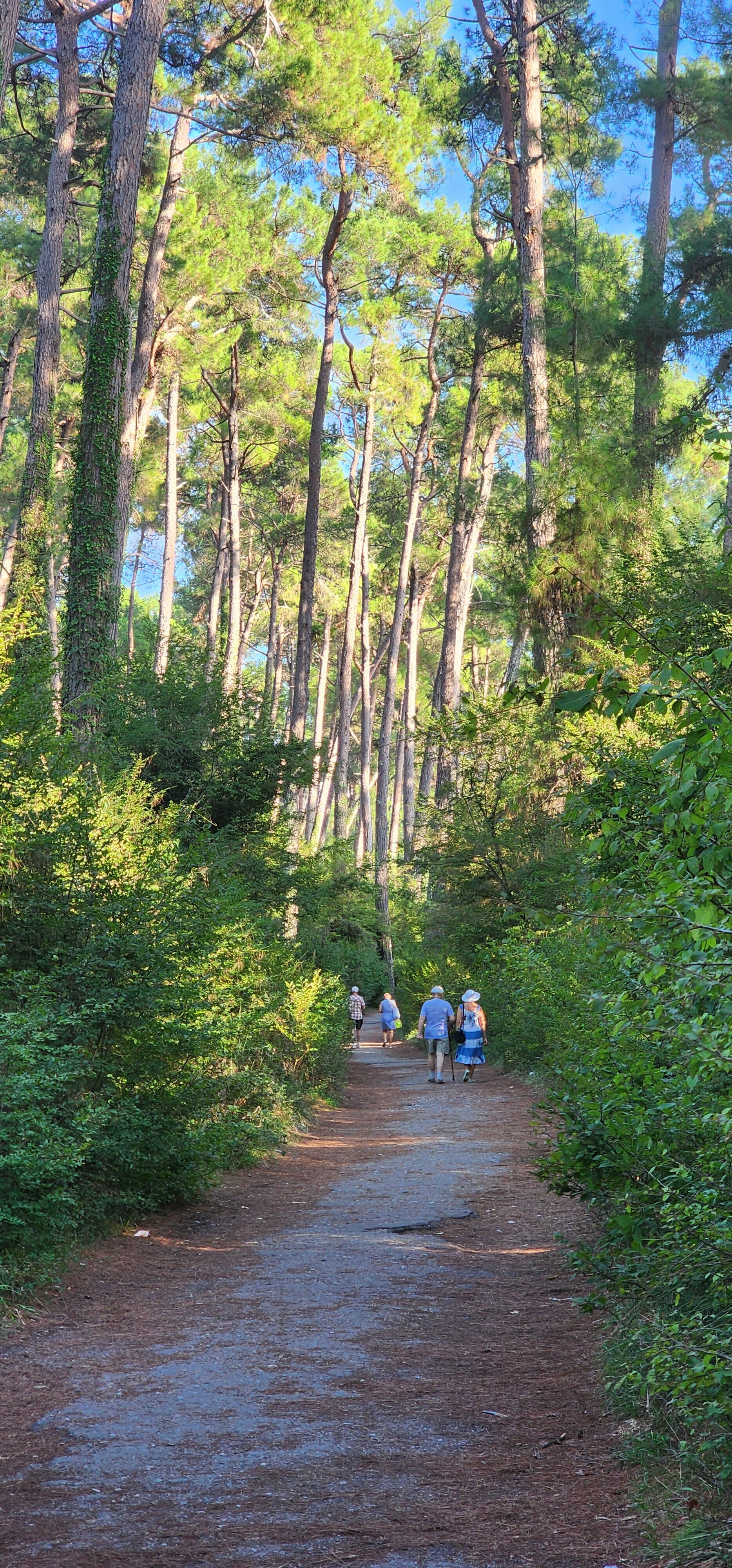 Трехместный номер "люкс"