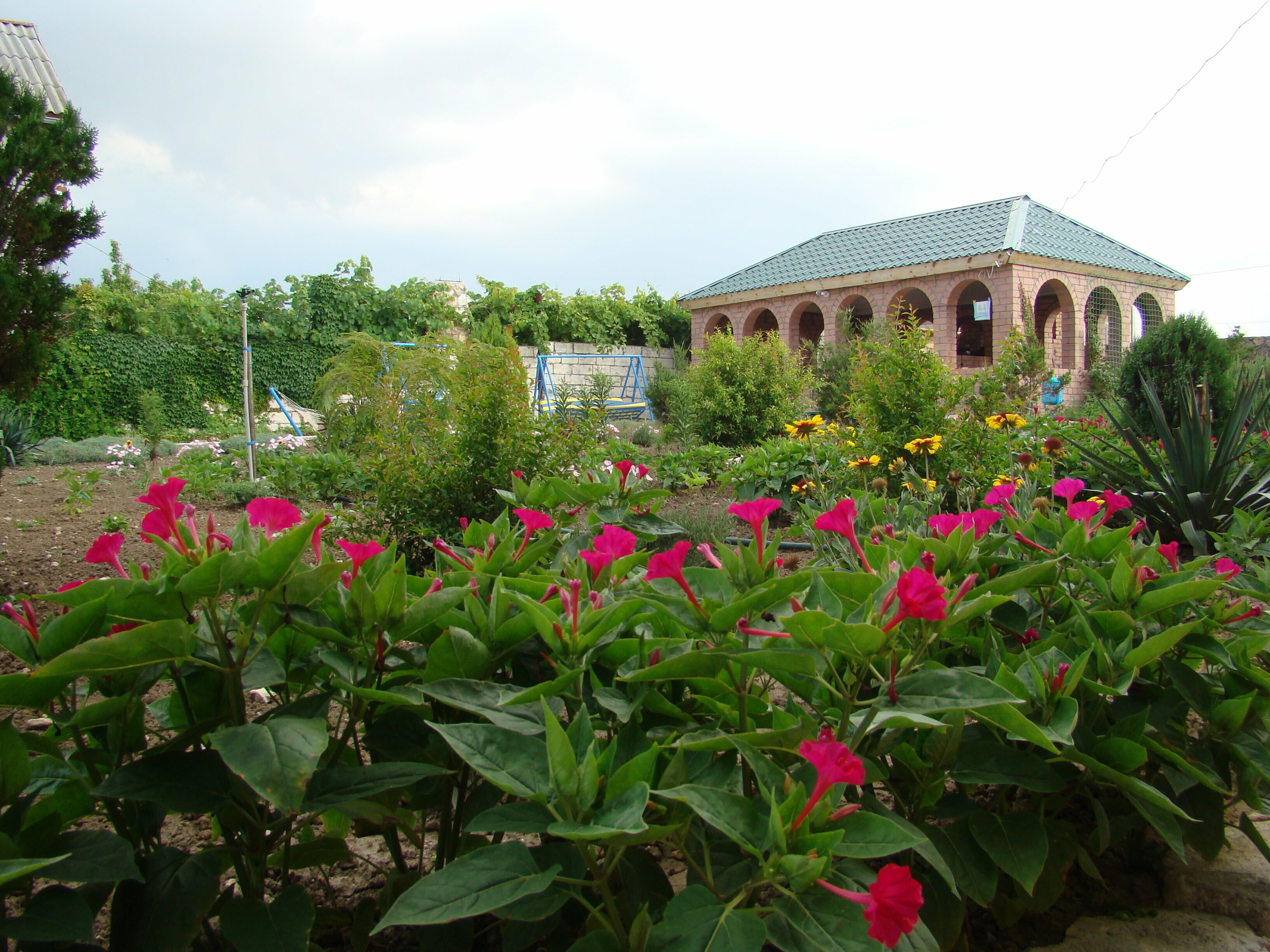 Двухместный номер с 2 отдельными кроватями, вид на сад