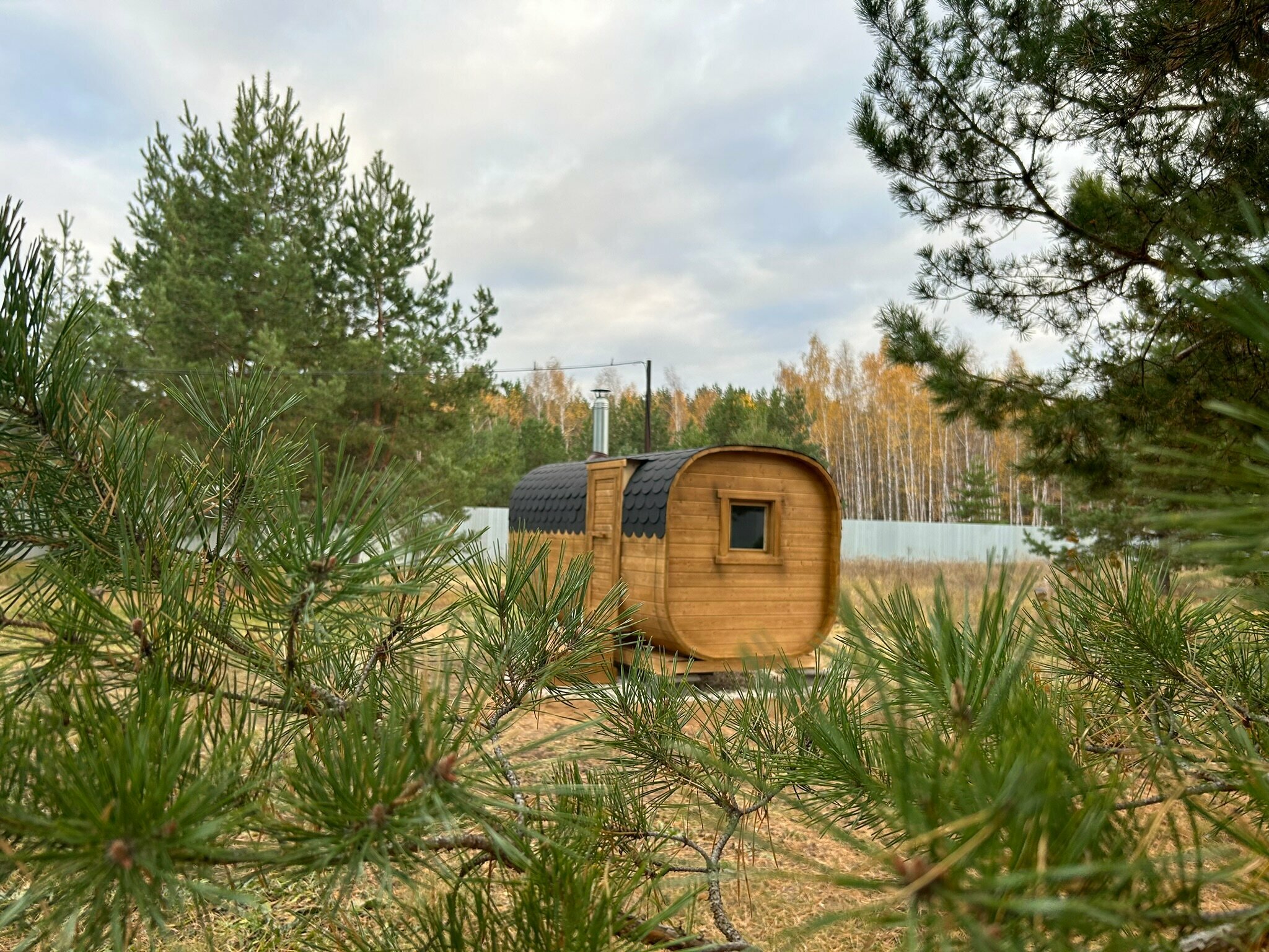 Дом с видом на лес